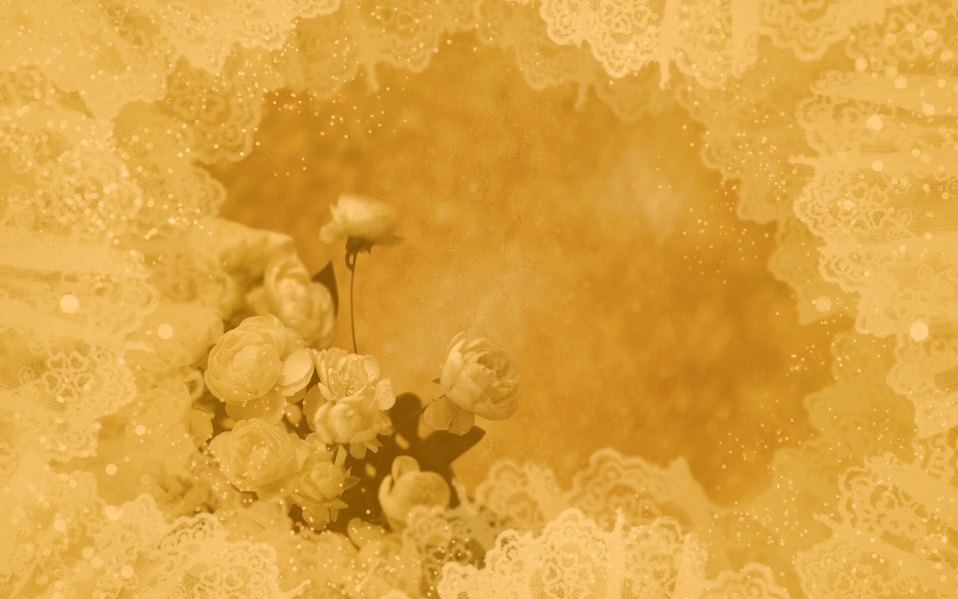 Бежевые кружева и розы обои