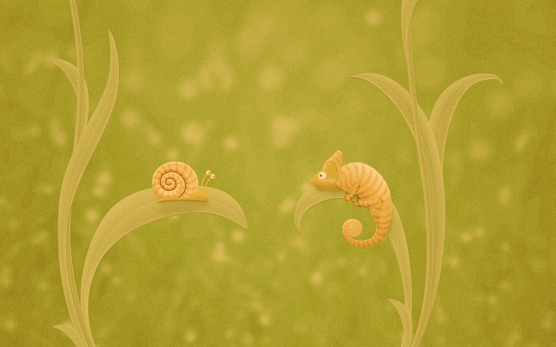 Хамелеон замаскированный под улитку обои