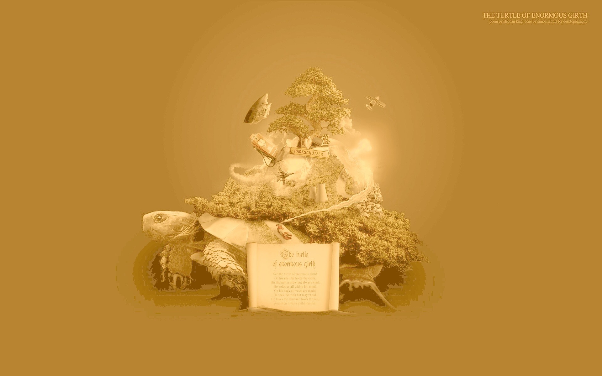 Огромная в обхвате черепаха обои
