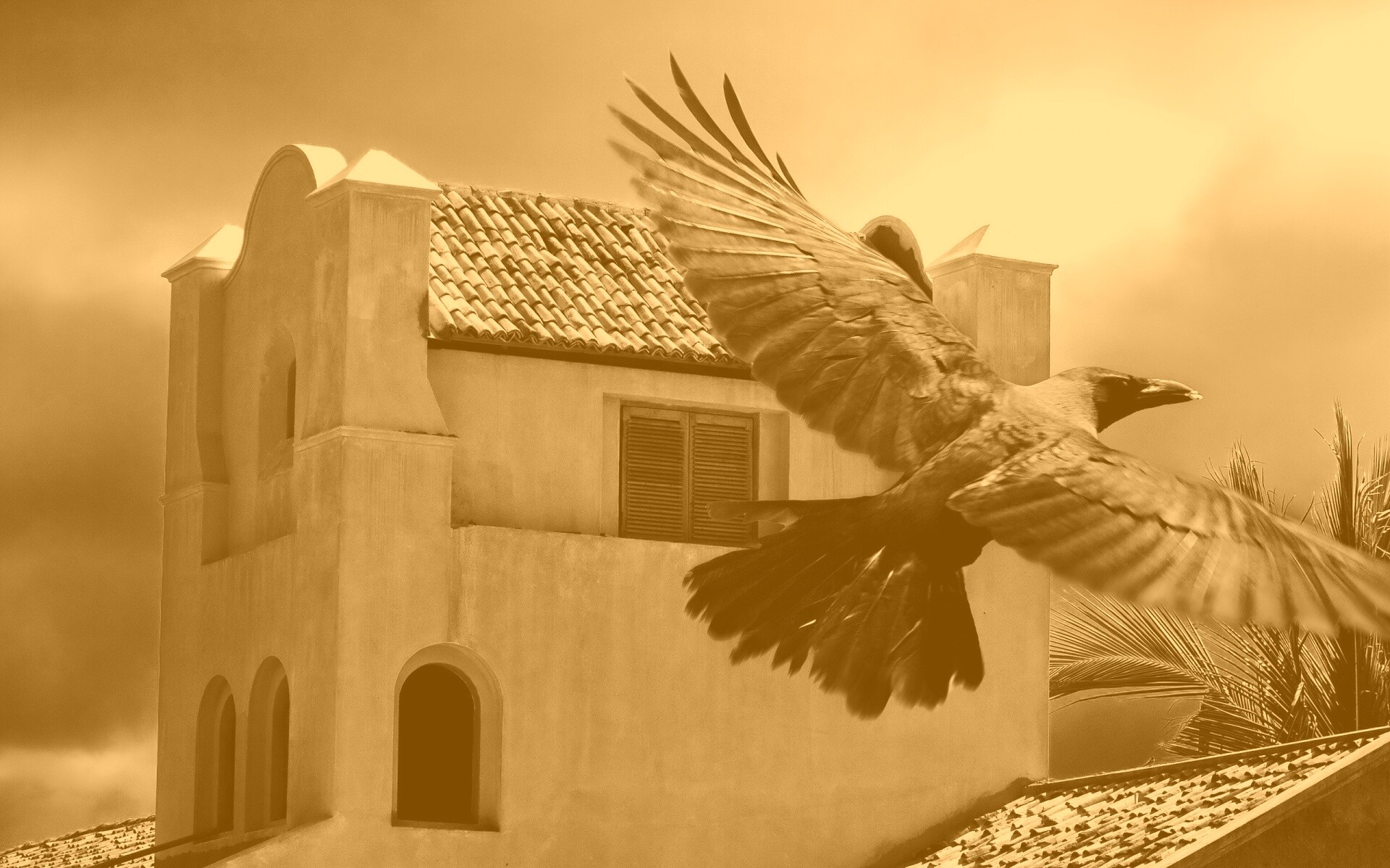 Полёт ворона обои