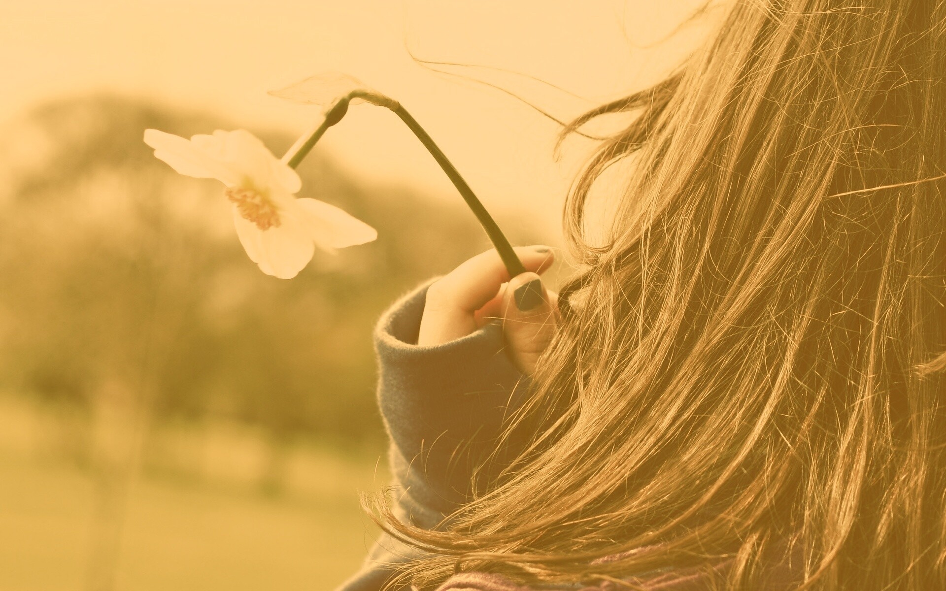 Девушка с нарциссом в руке обои