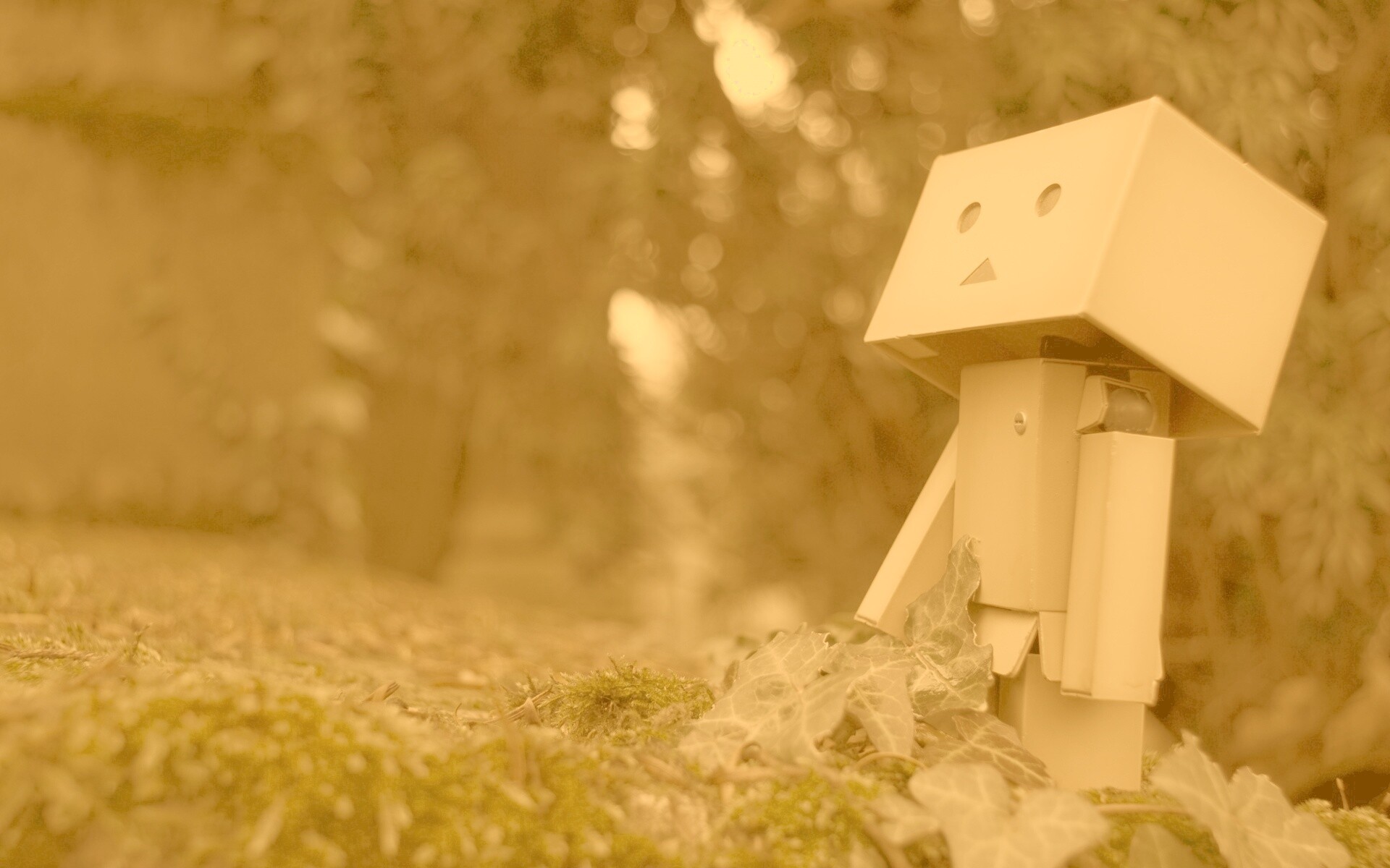 Danbo смотрит вверх обои
