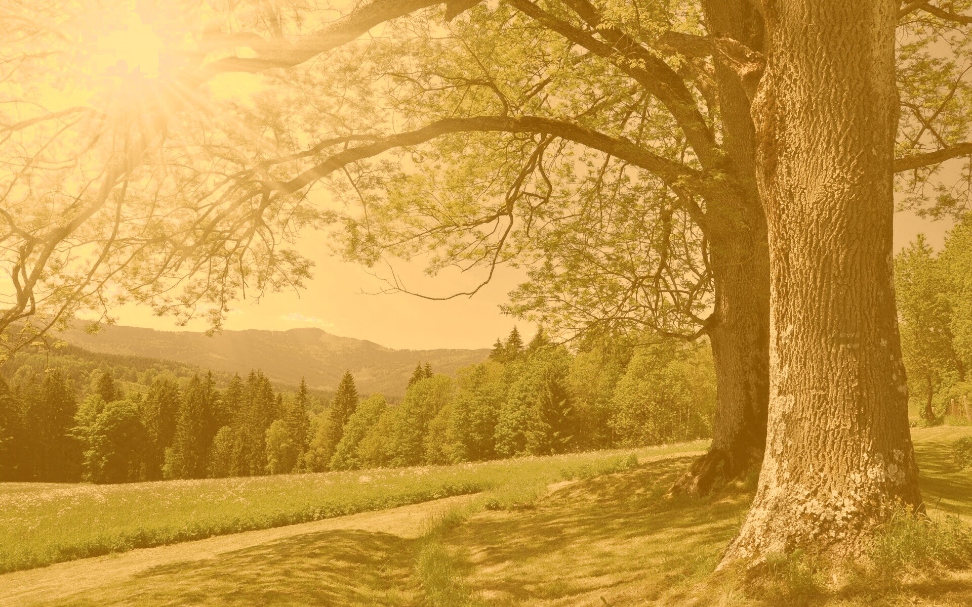 Лето в деревне обои