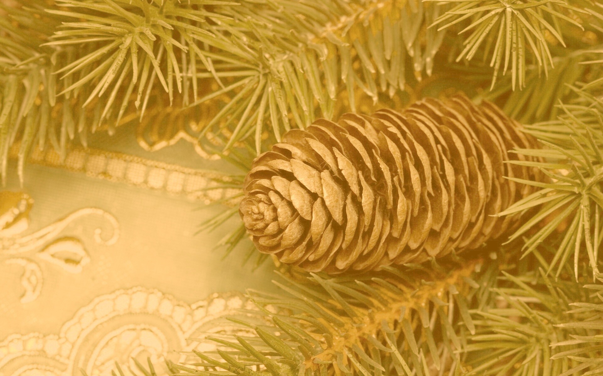 Шишка на елке обои