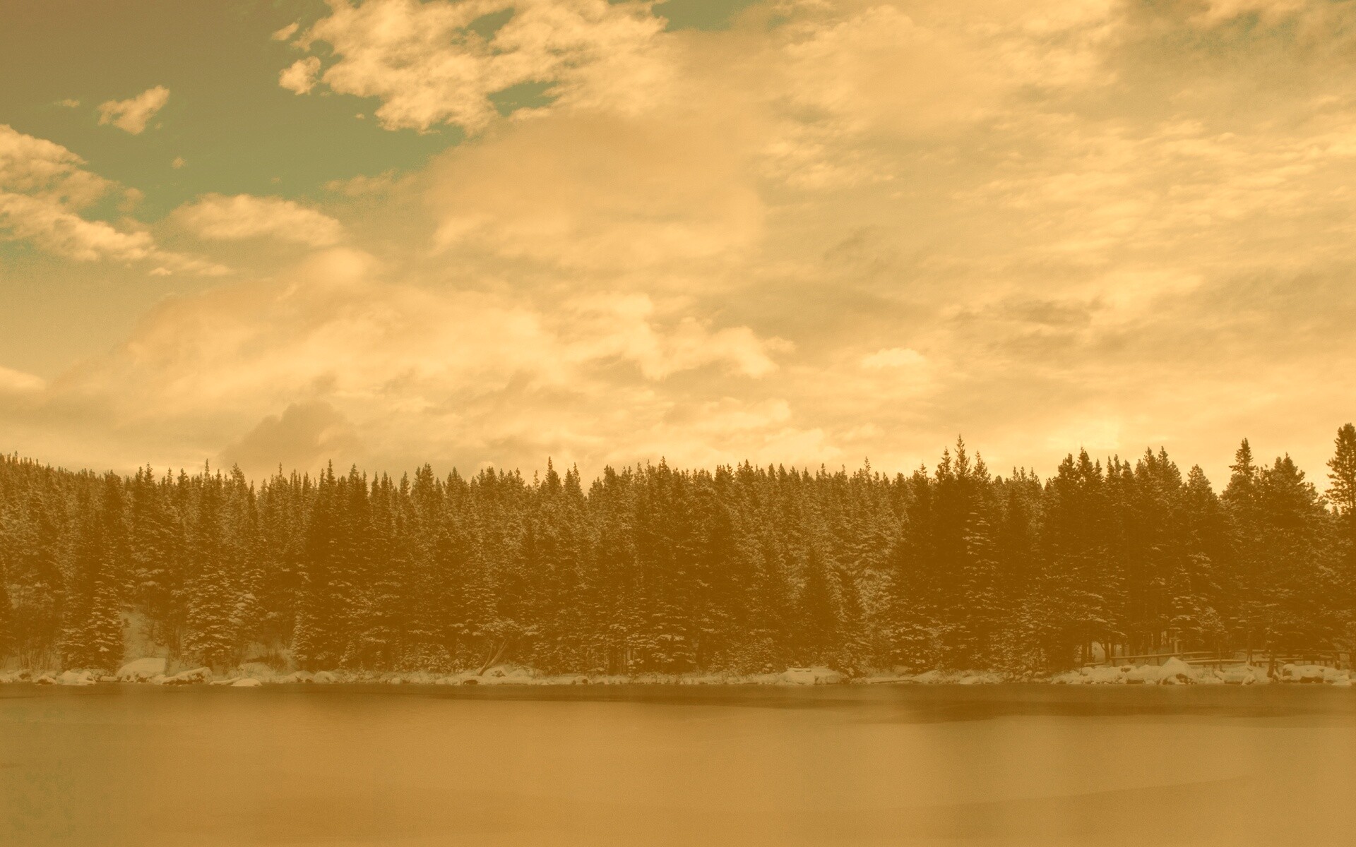 Лес на озере обои