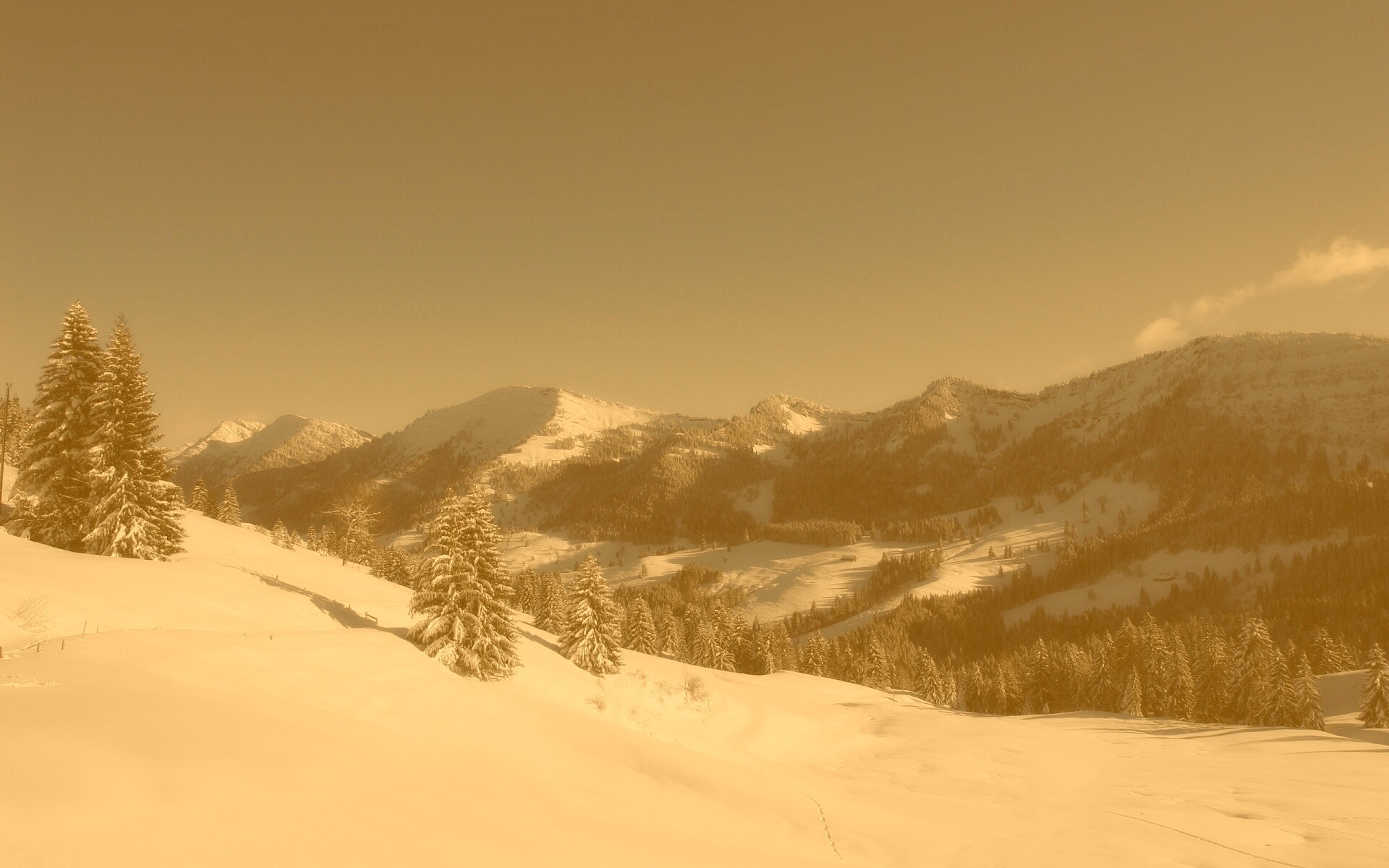 Лес в горах обои