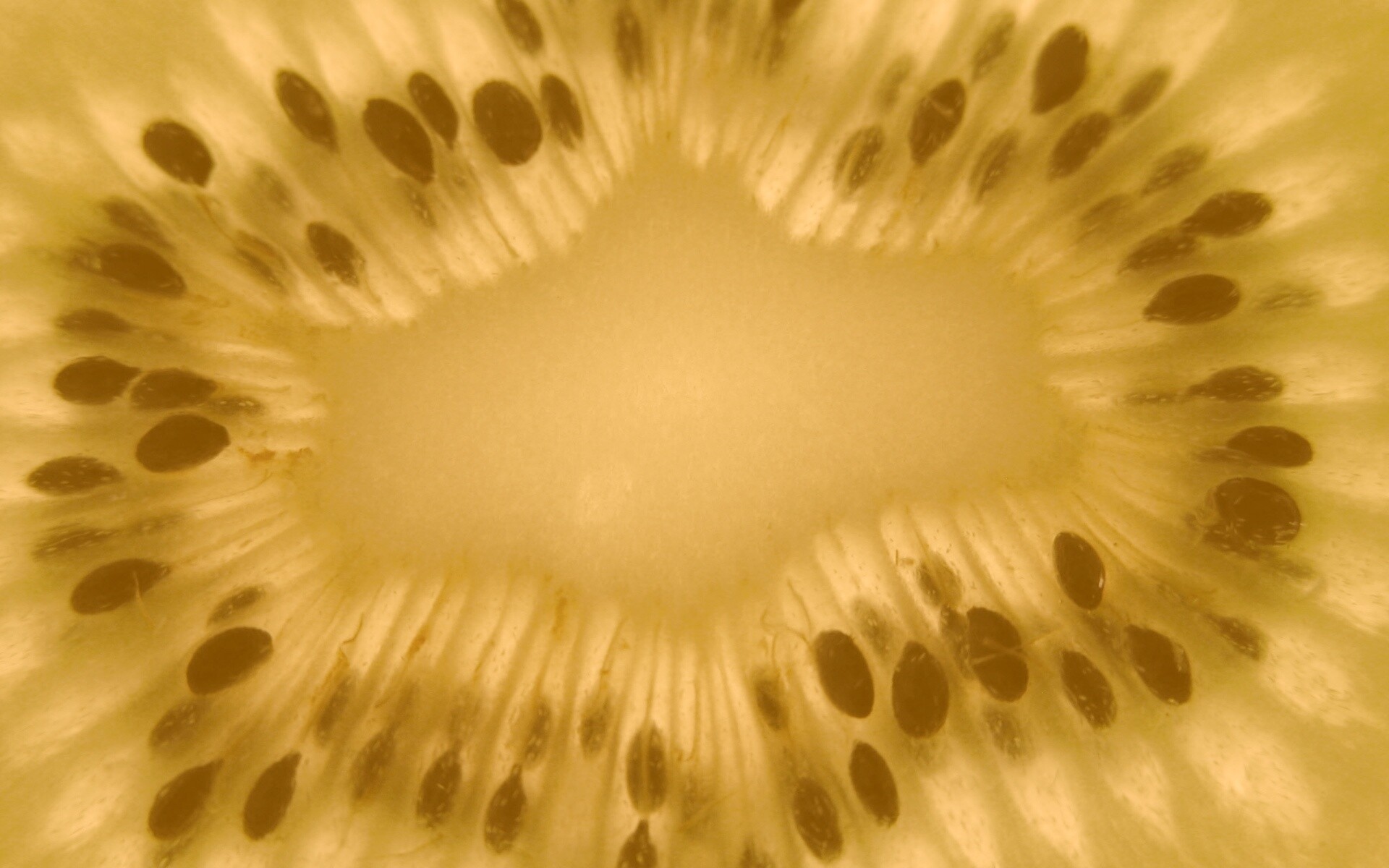 Макро фото киви в разрезе обои