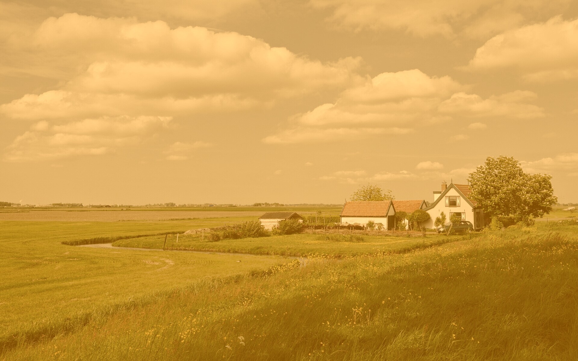 дом на лугу обои