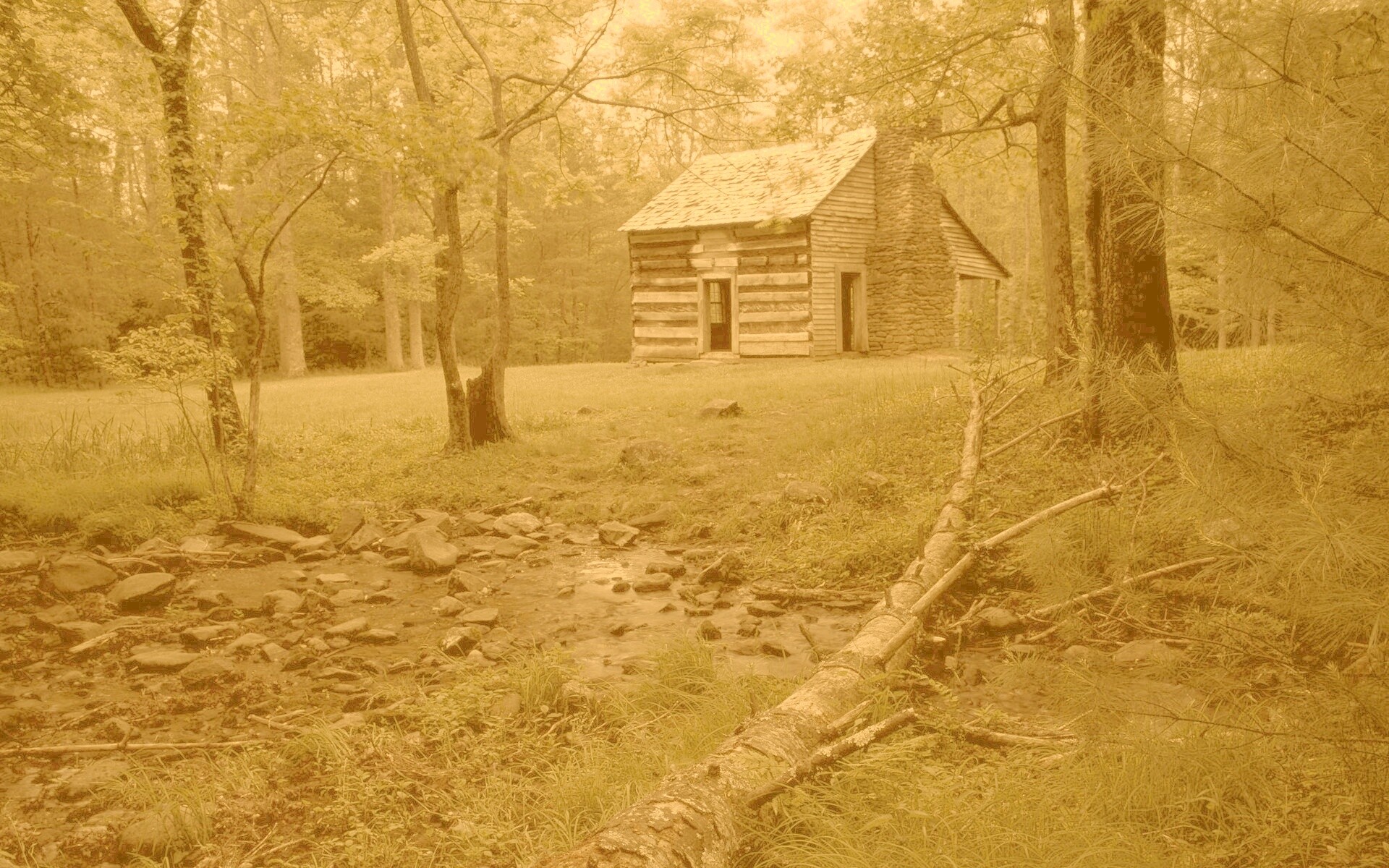 Домик в лесу обои
