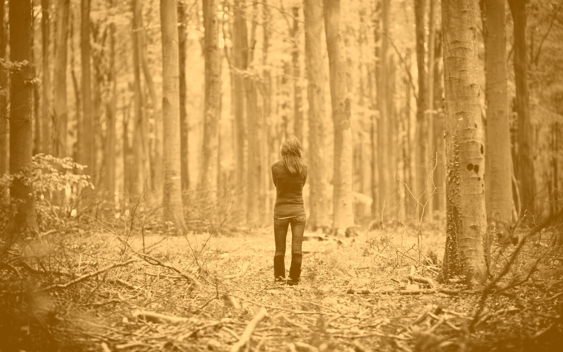 Одна в лесу обои