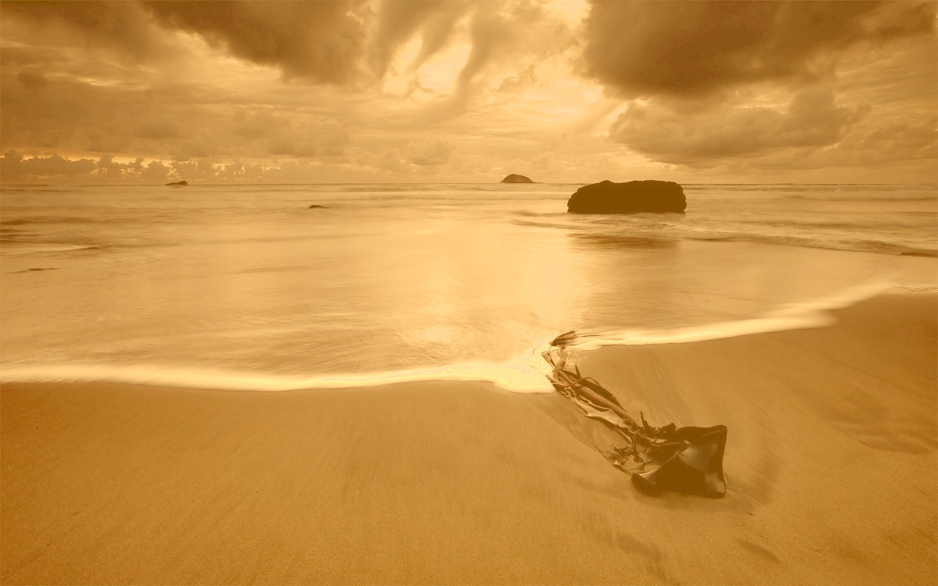 Коряга на пляже обои