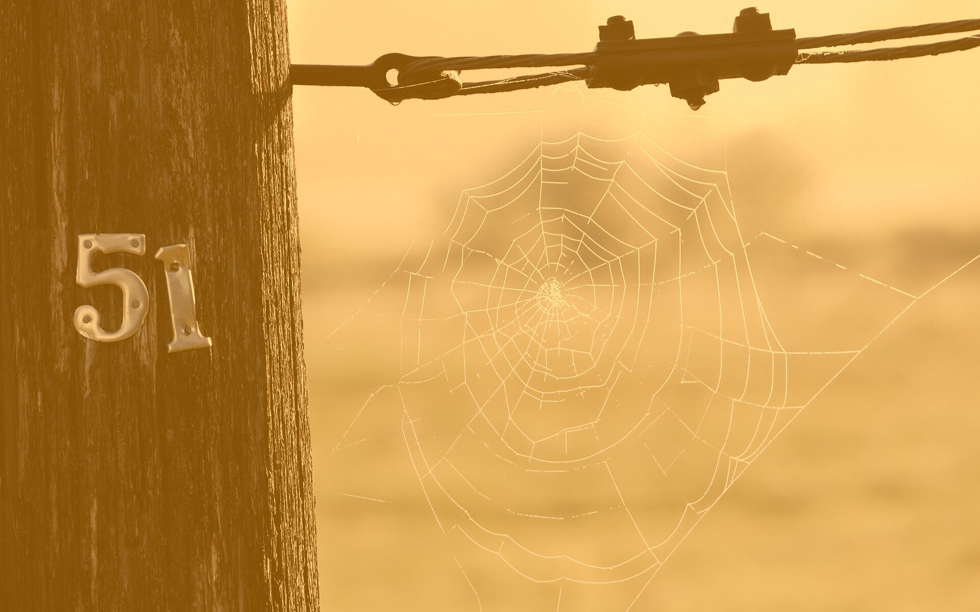 Паутина 51 обои