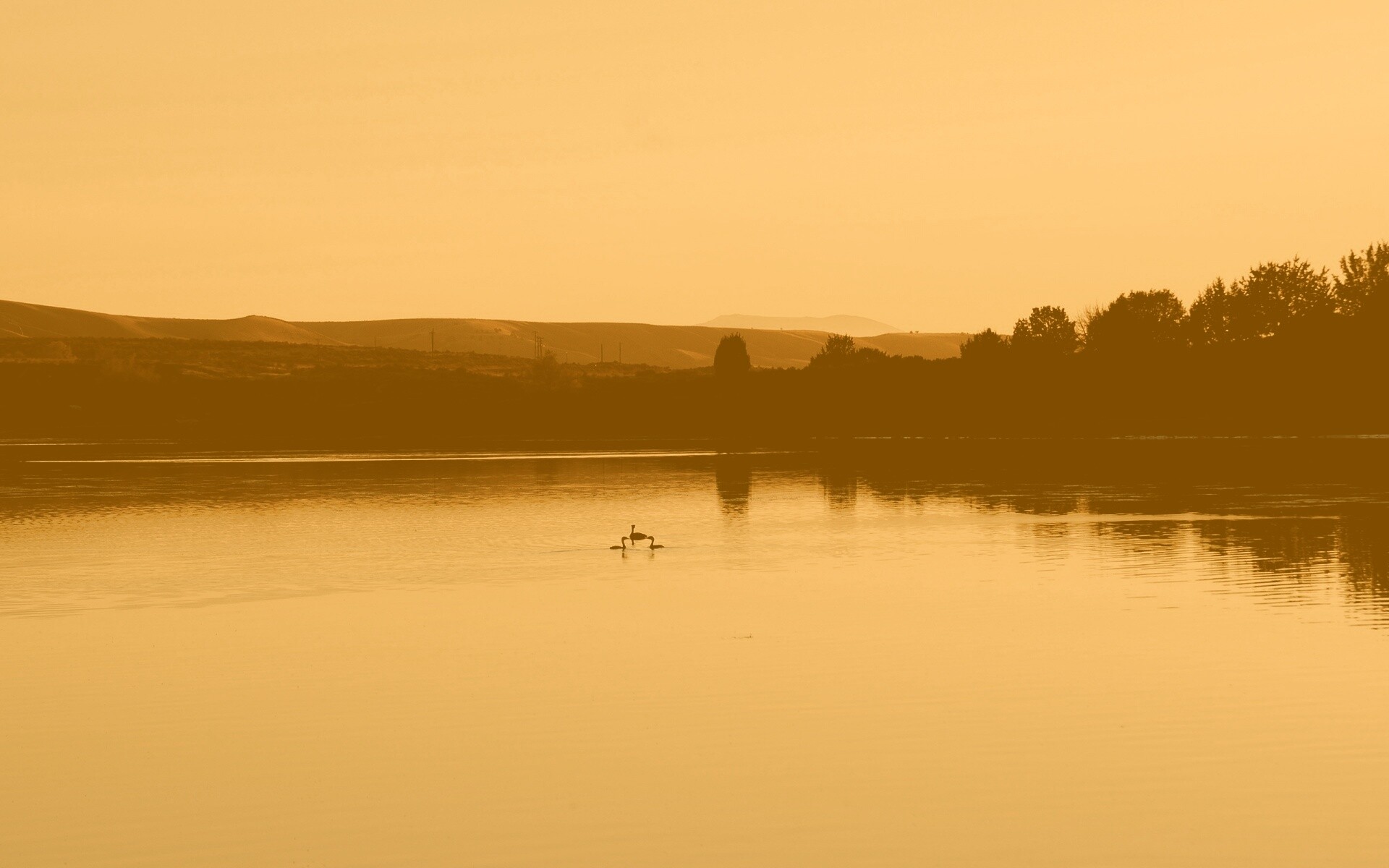 Утиное озеро обои