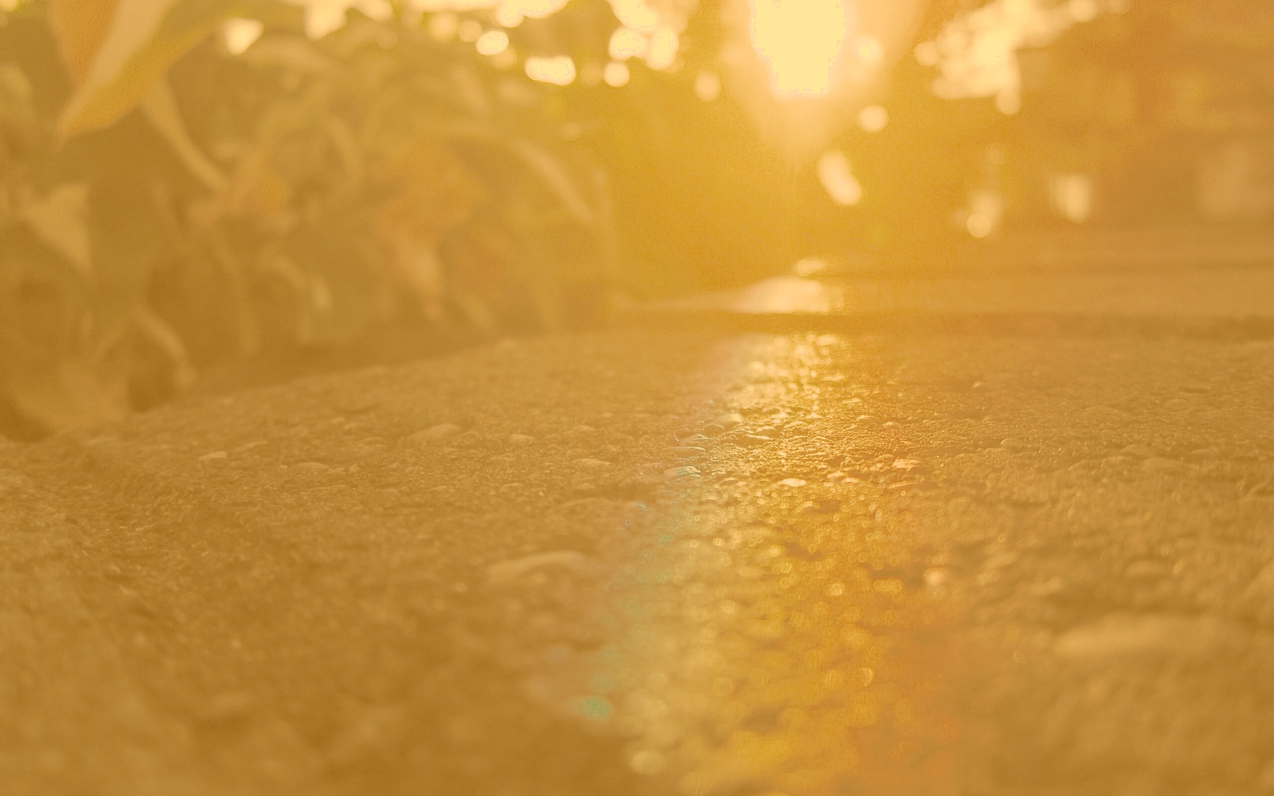 Макро радуга на камне обои