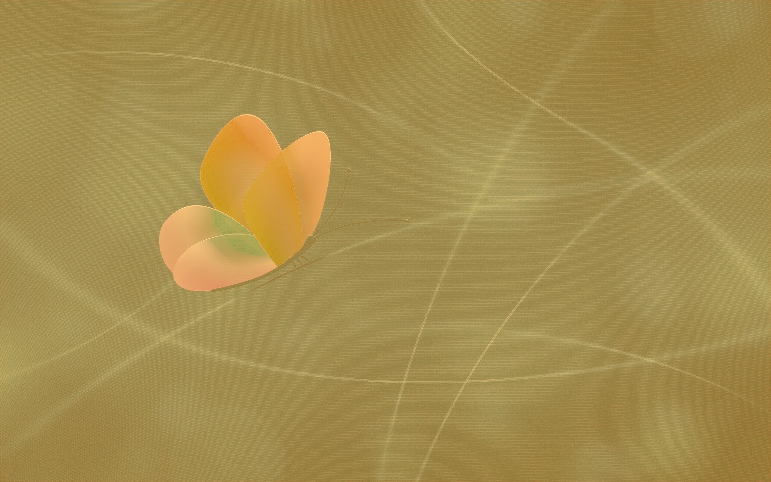 Бабочка с радужными крыльями обои