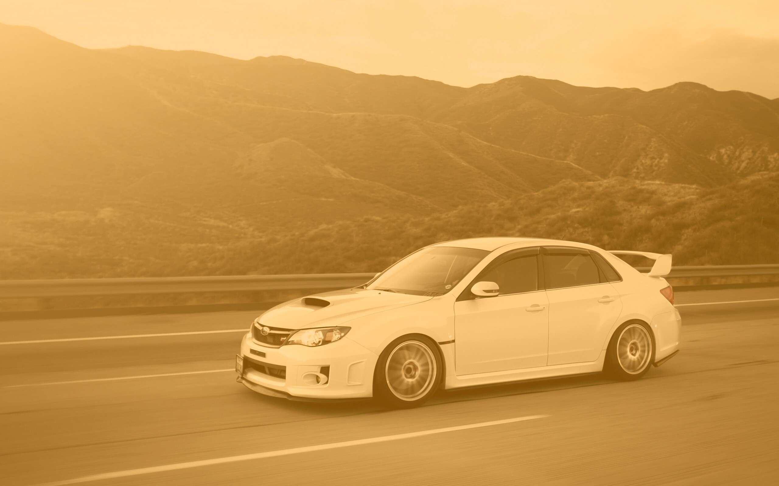 Белый субарь на тарссе обои