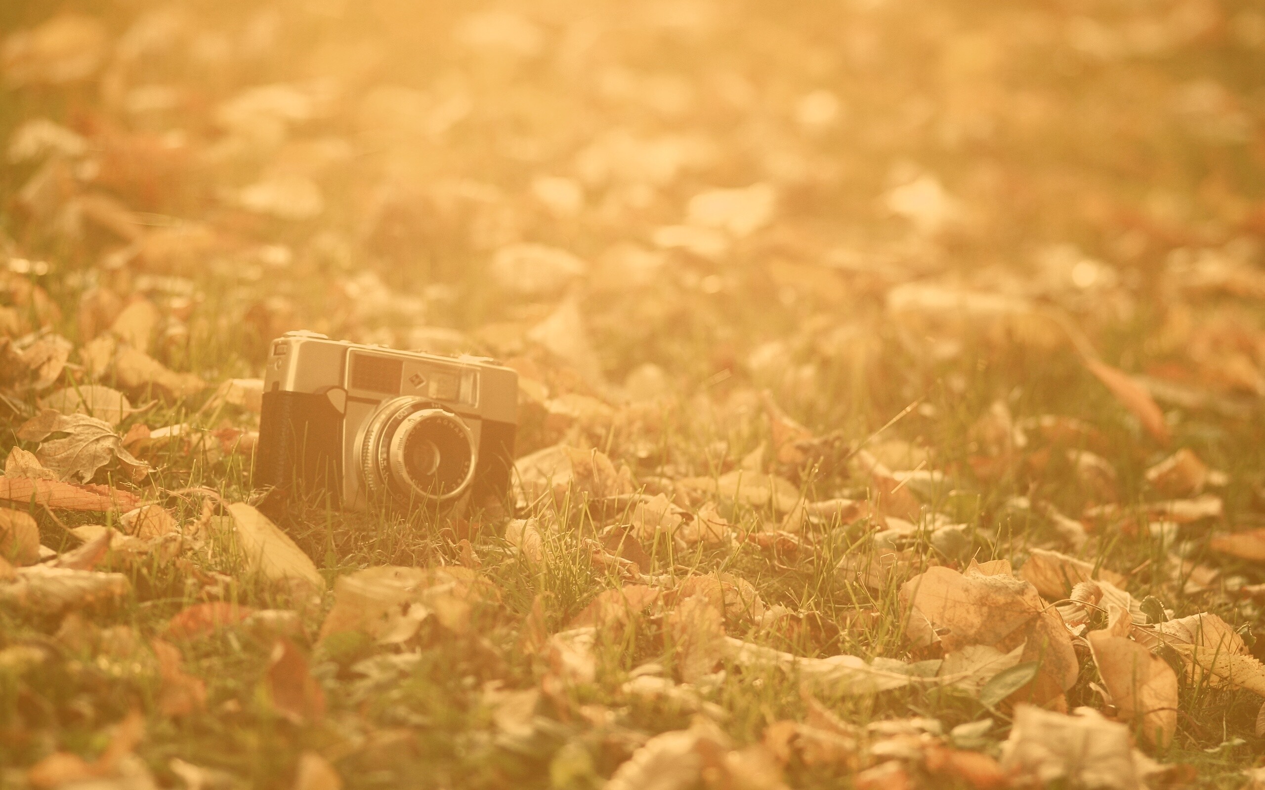 Старый фотоаппарат в траве обои