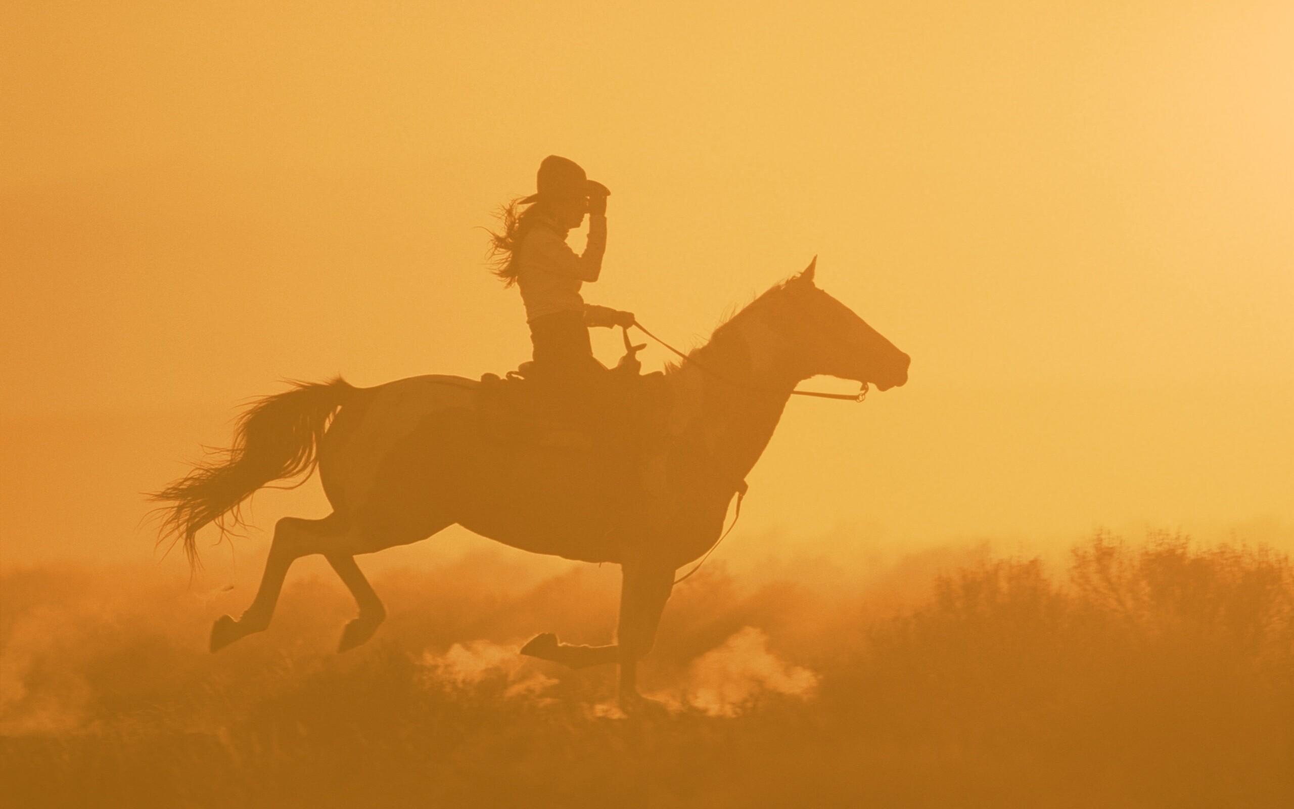 Наездница на закате обои