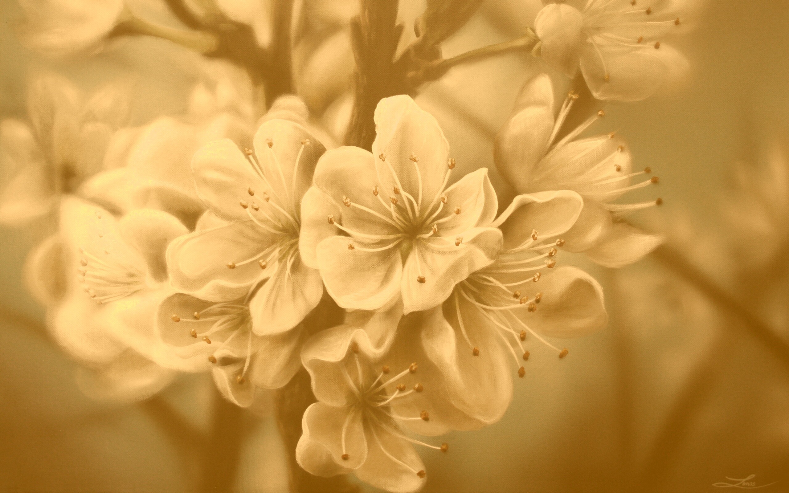 Яблоня в цвету картина обои