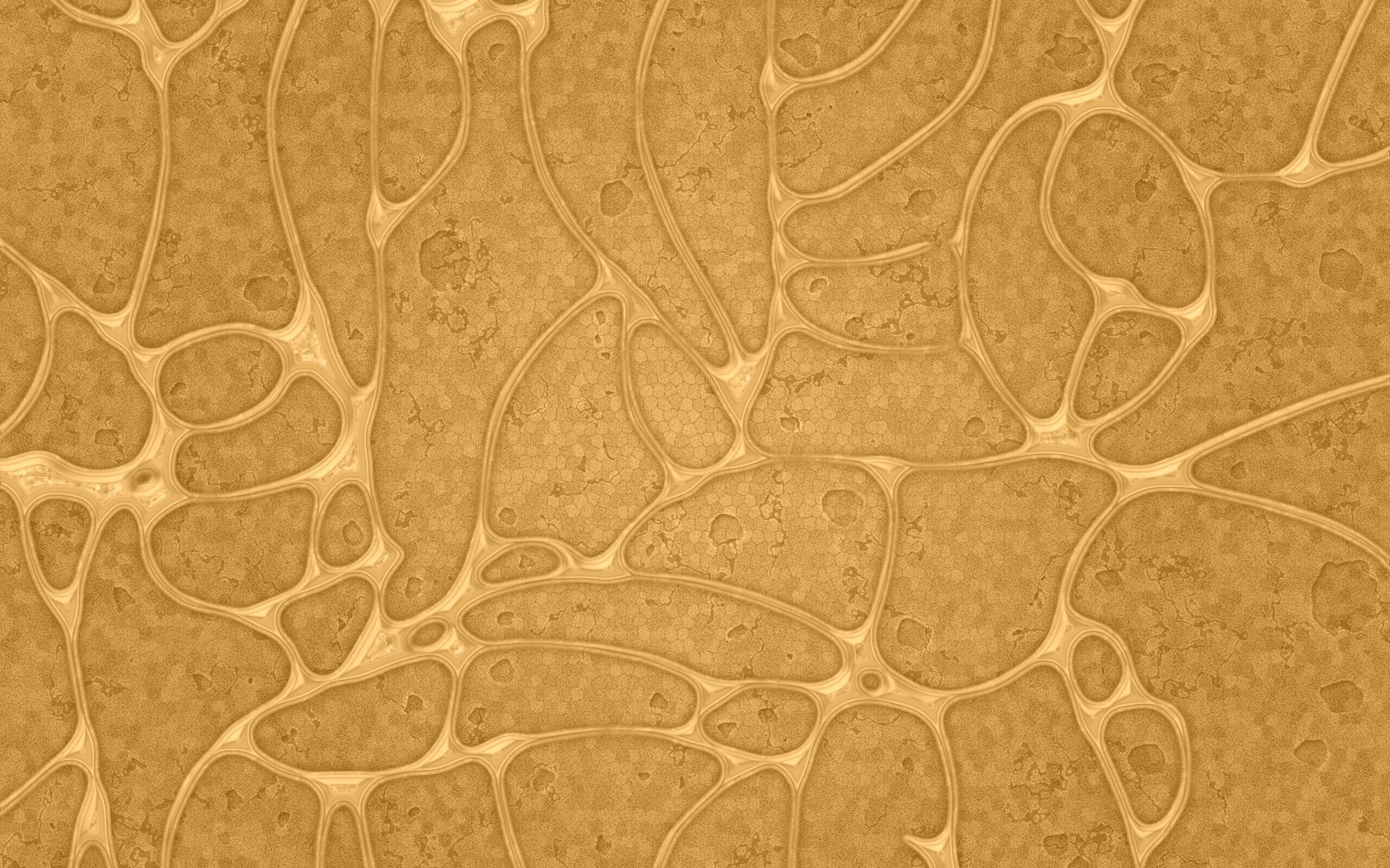 Абстрактные обои обои