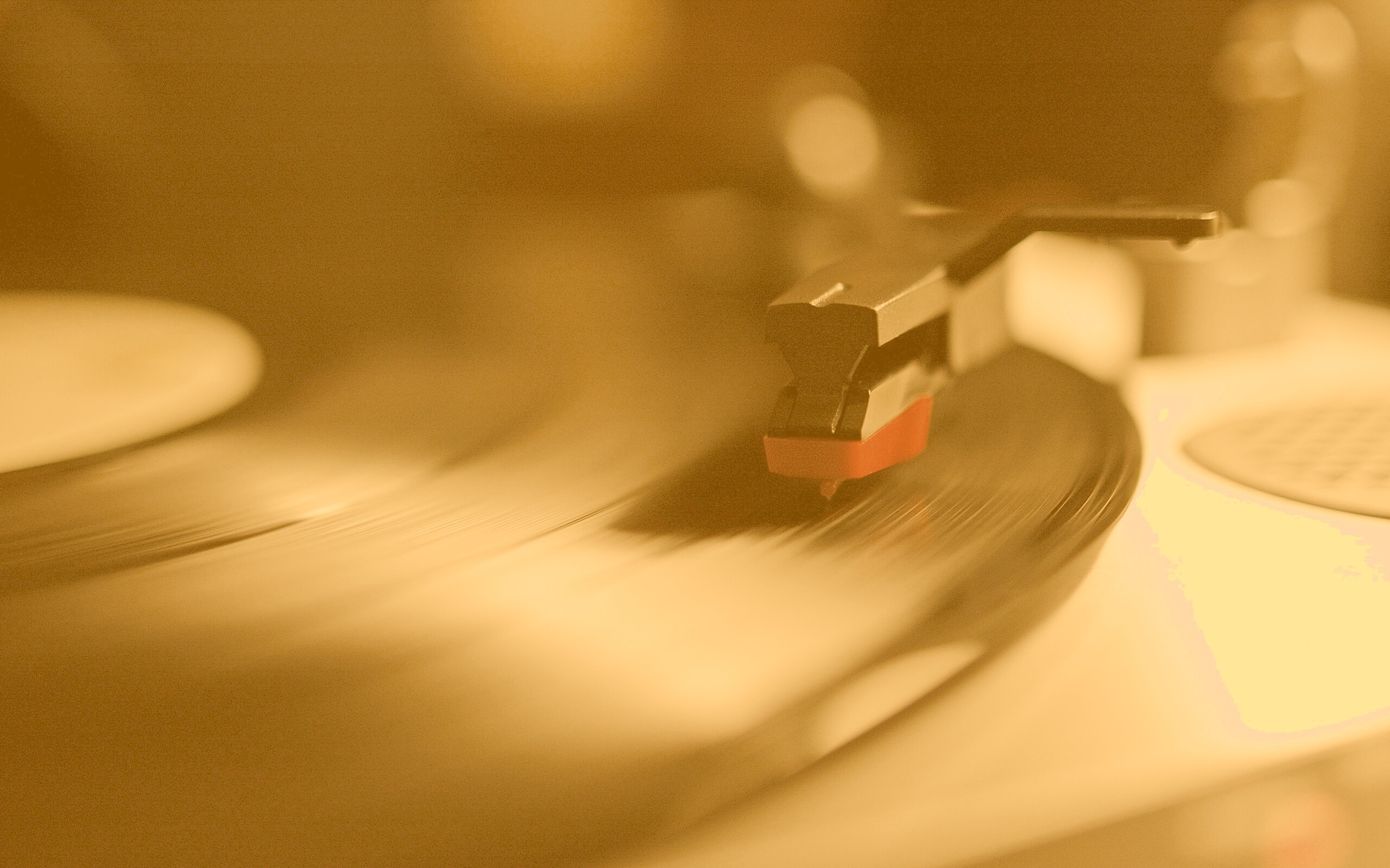 Пластинка обои