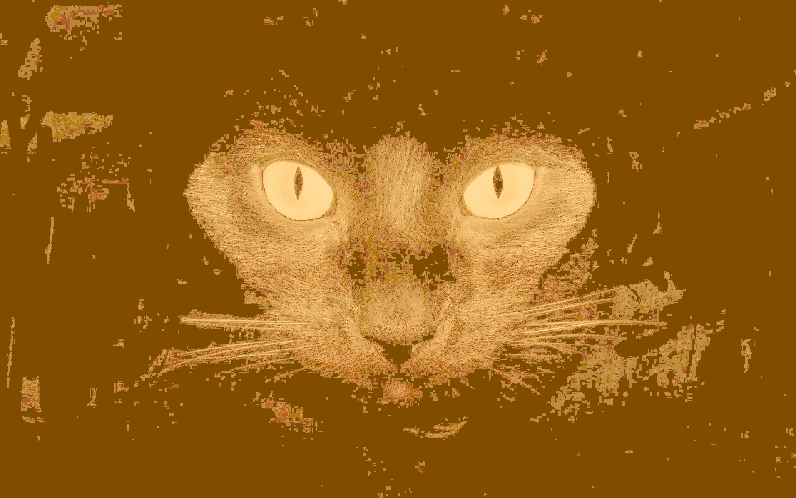 Черный кот обои