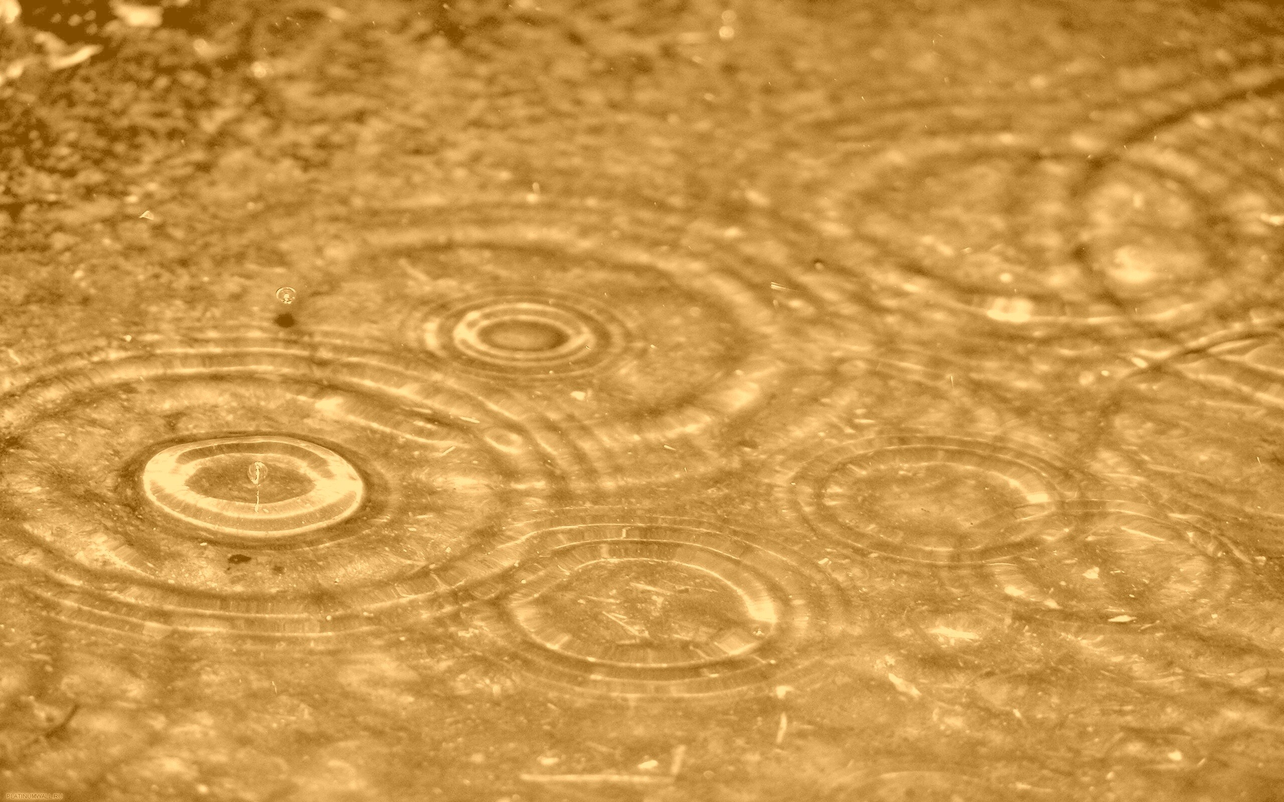 Круги на воде обои