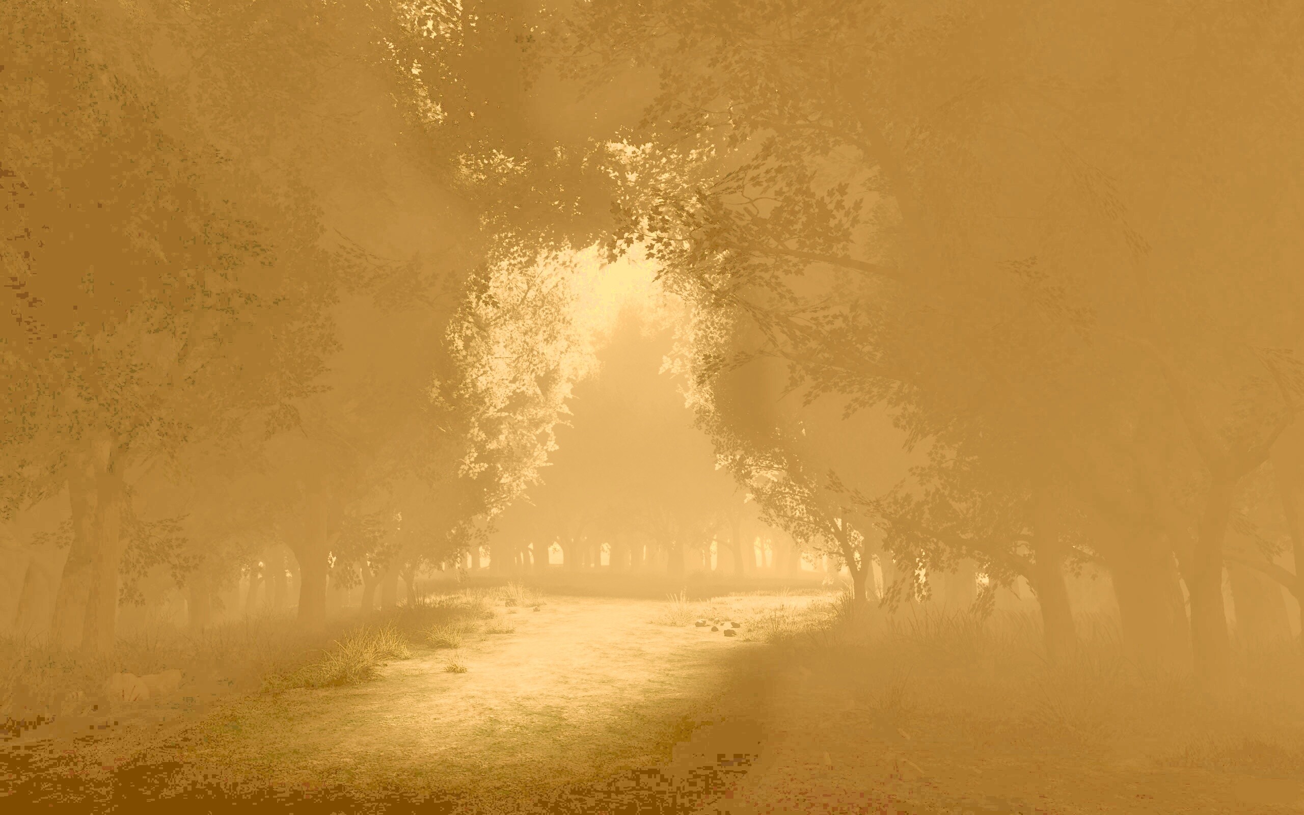 Сумерки в волшебном лесу обои