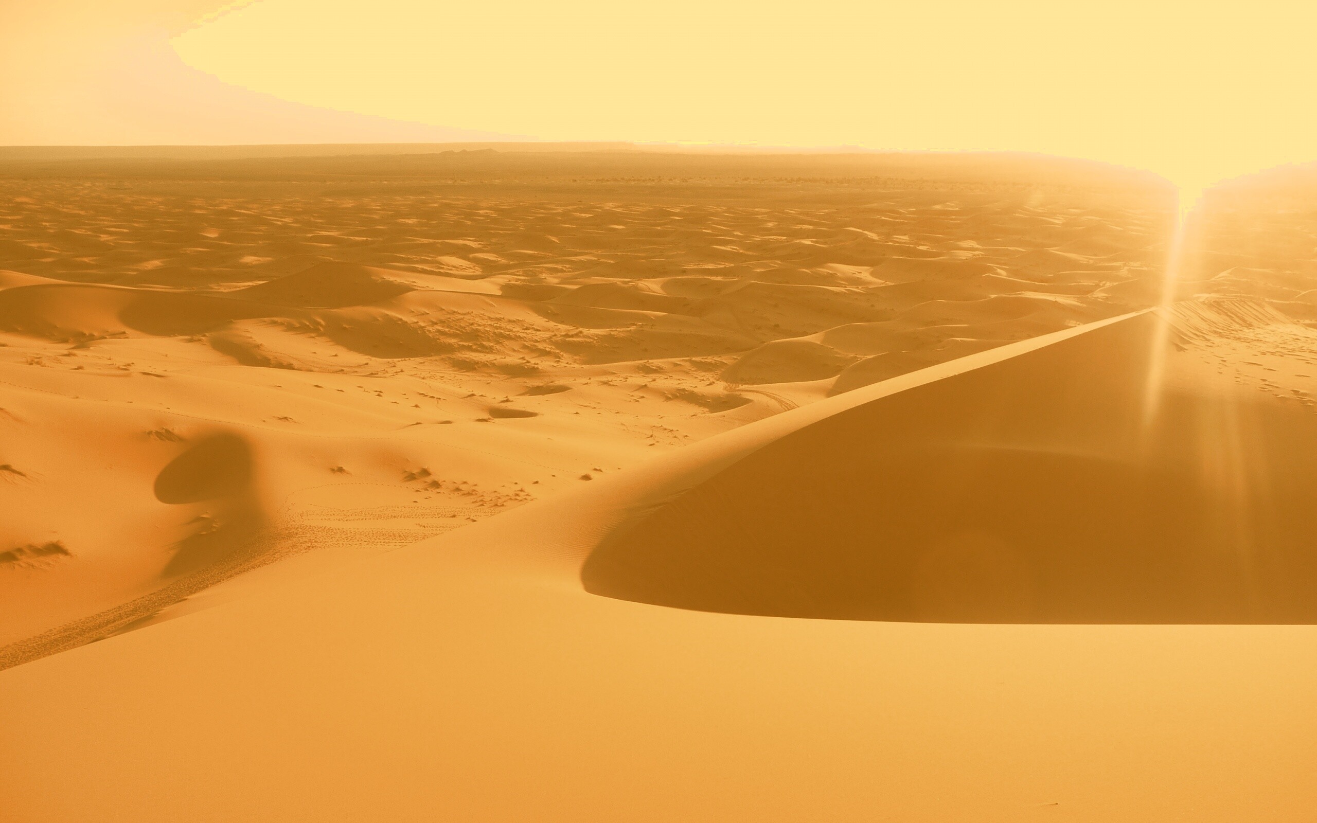 Солнечная пустыня обои