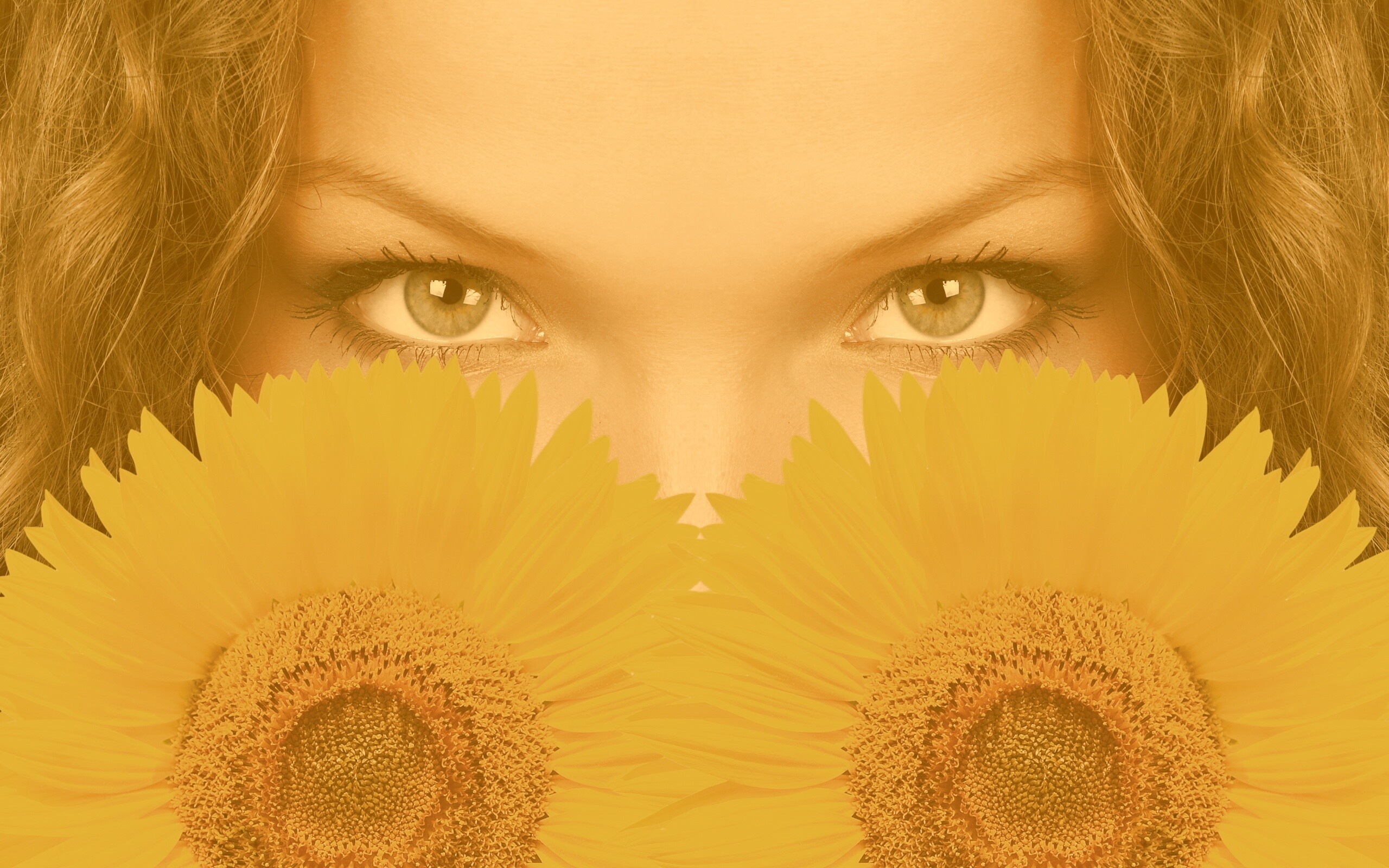 Девушка с желтыми ромашками обои