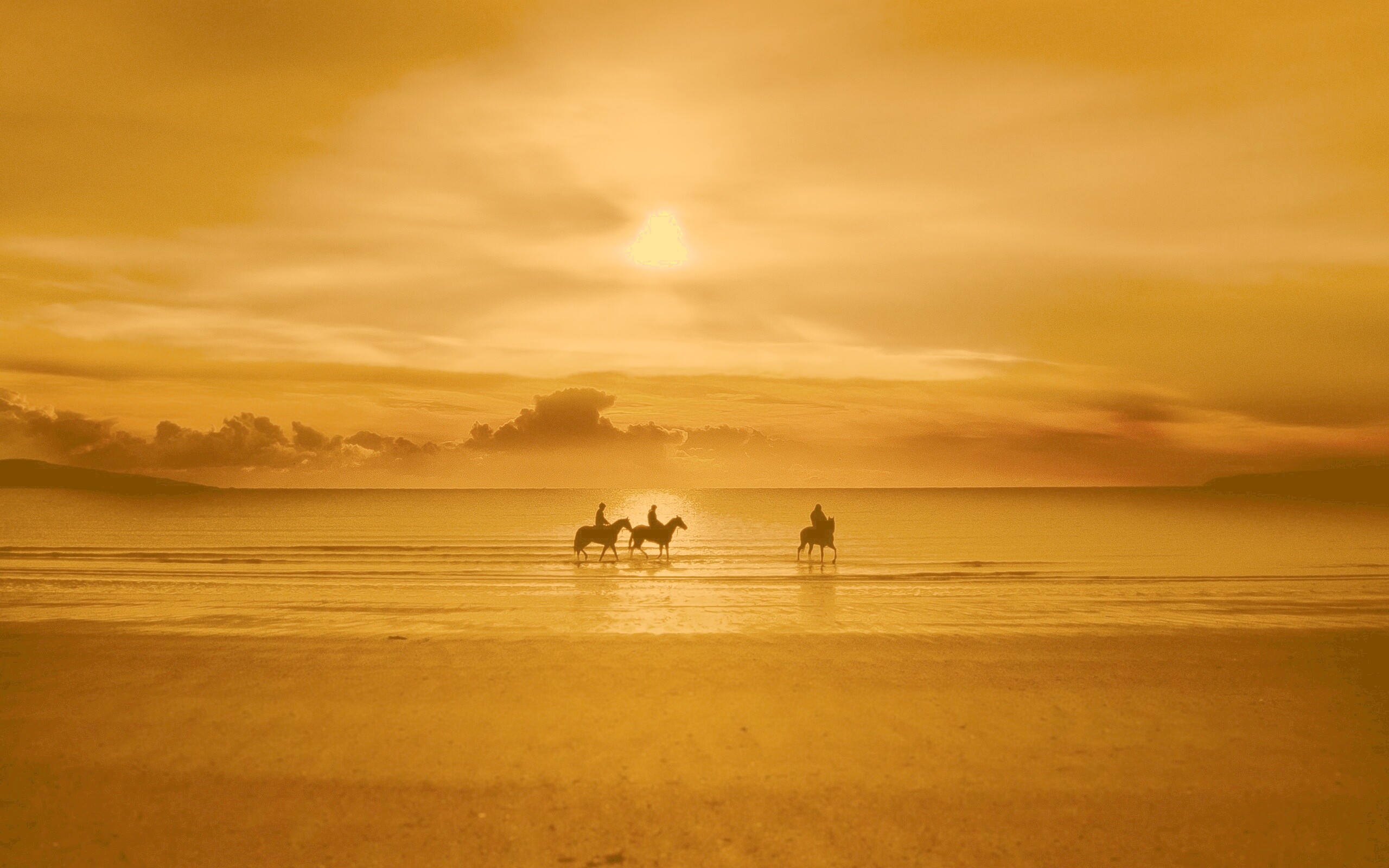 Наездники на закате обои