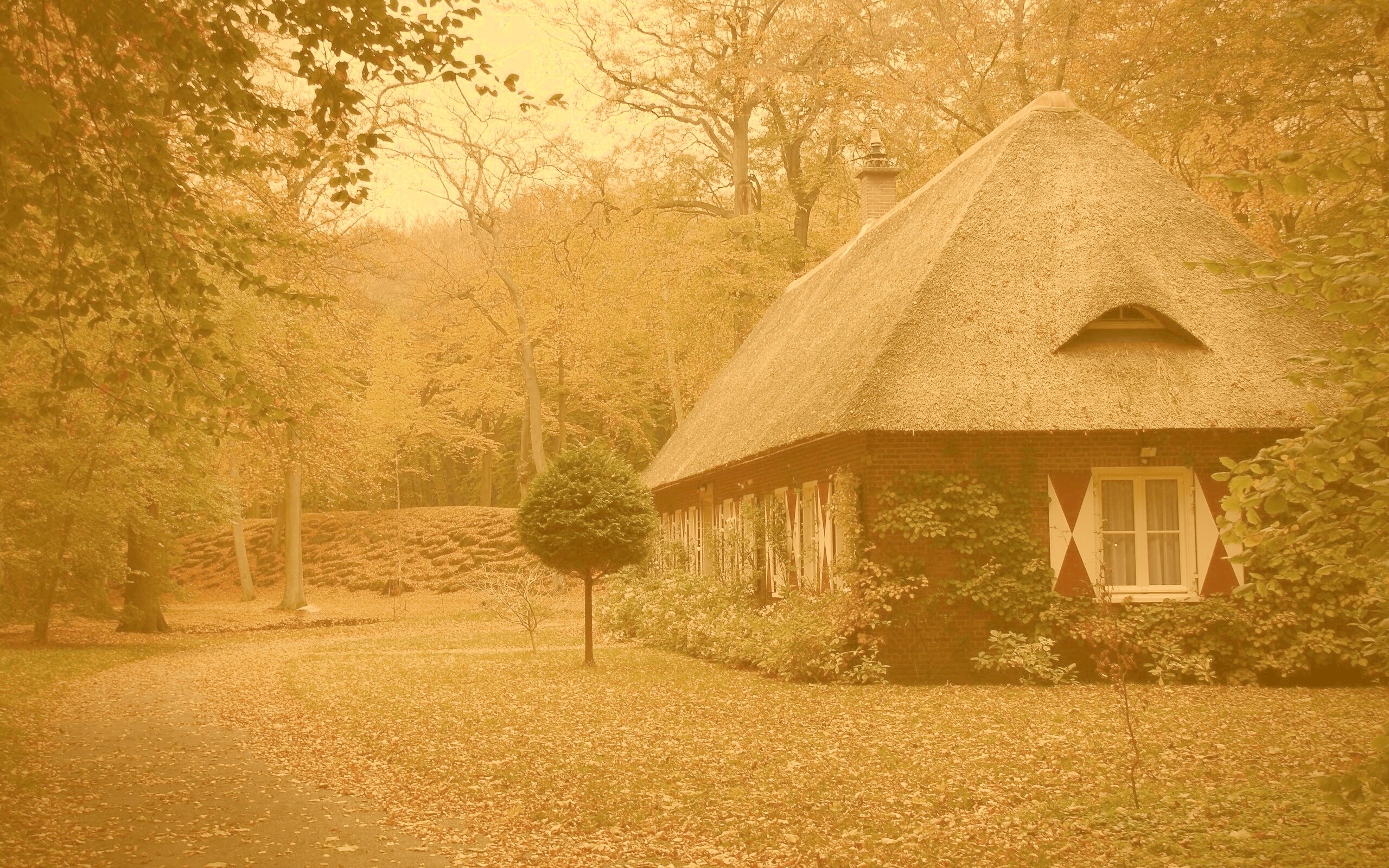 Домик в осеннем лесу обои