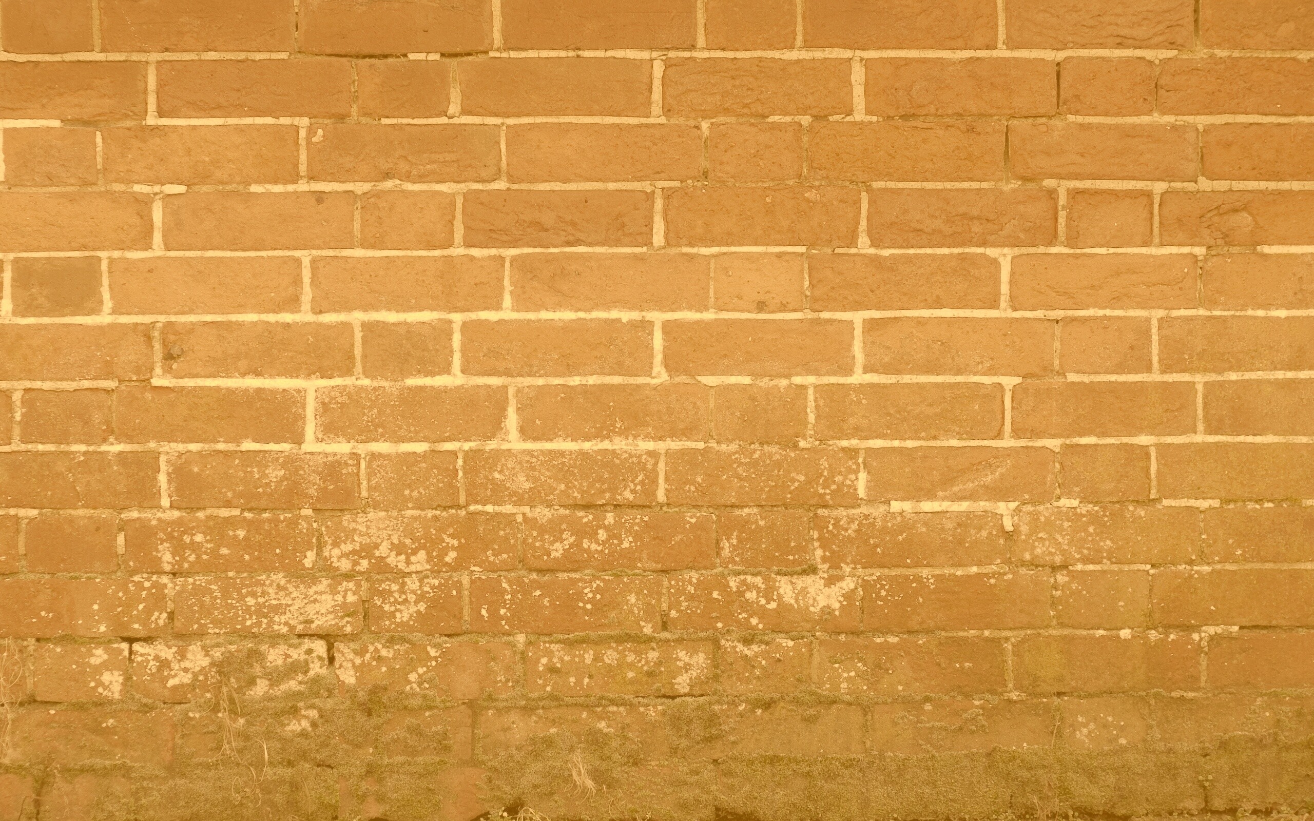 Старая кирпичная стена обои