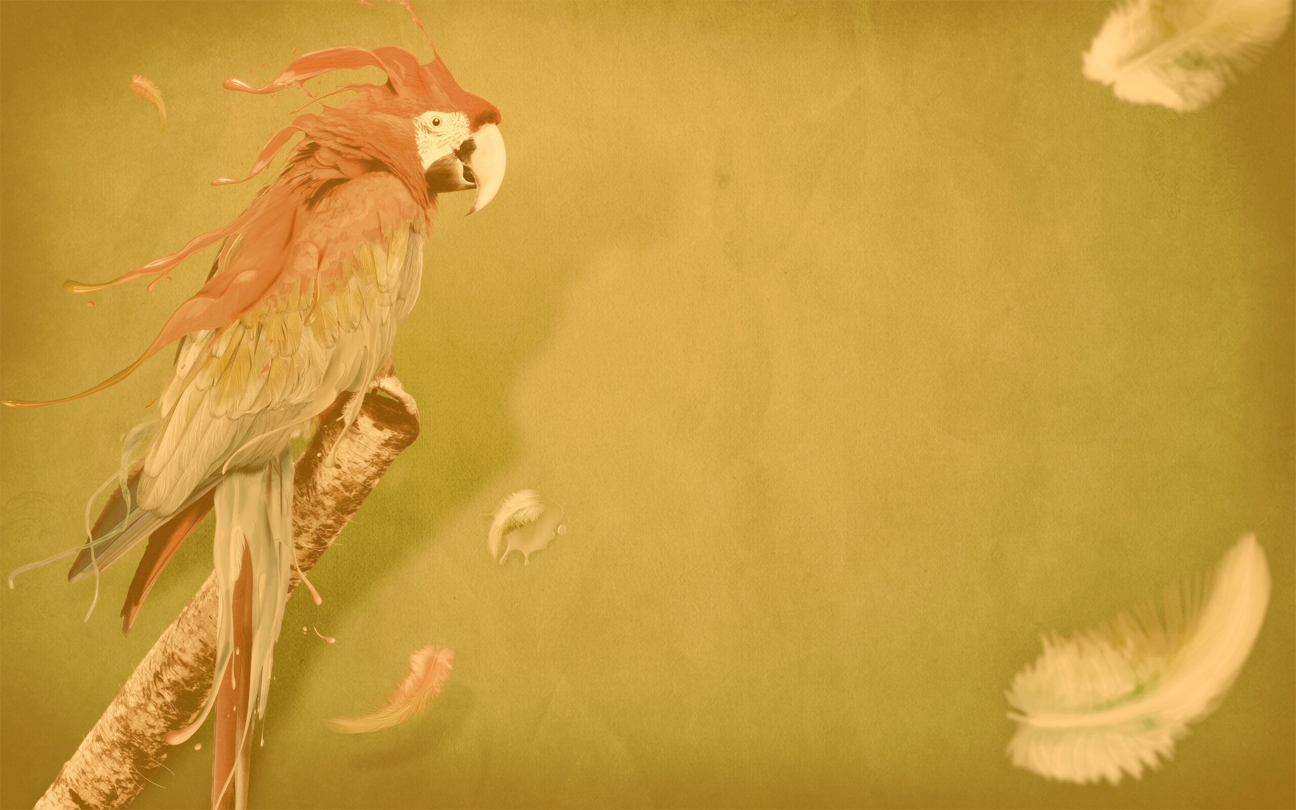 Попугай на ветке обои