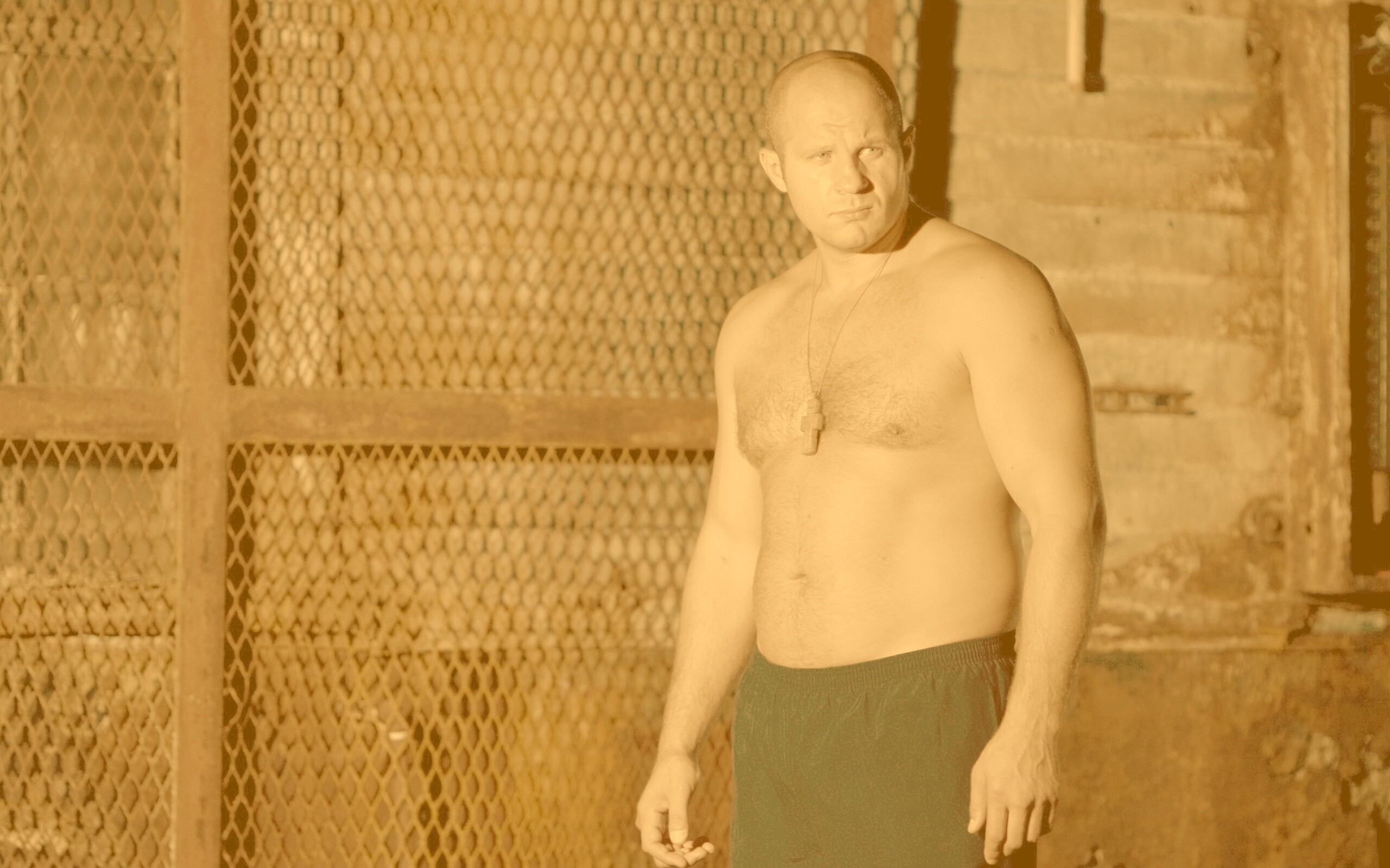 Фёдор Емельяненко обои