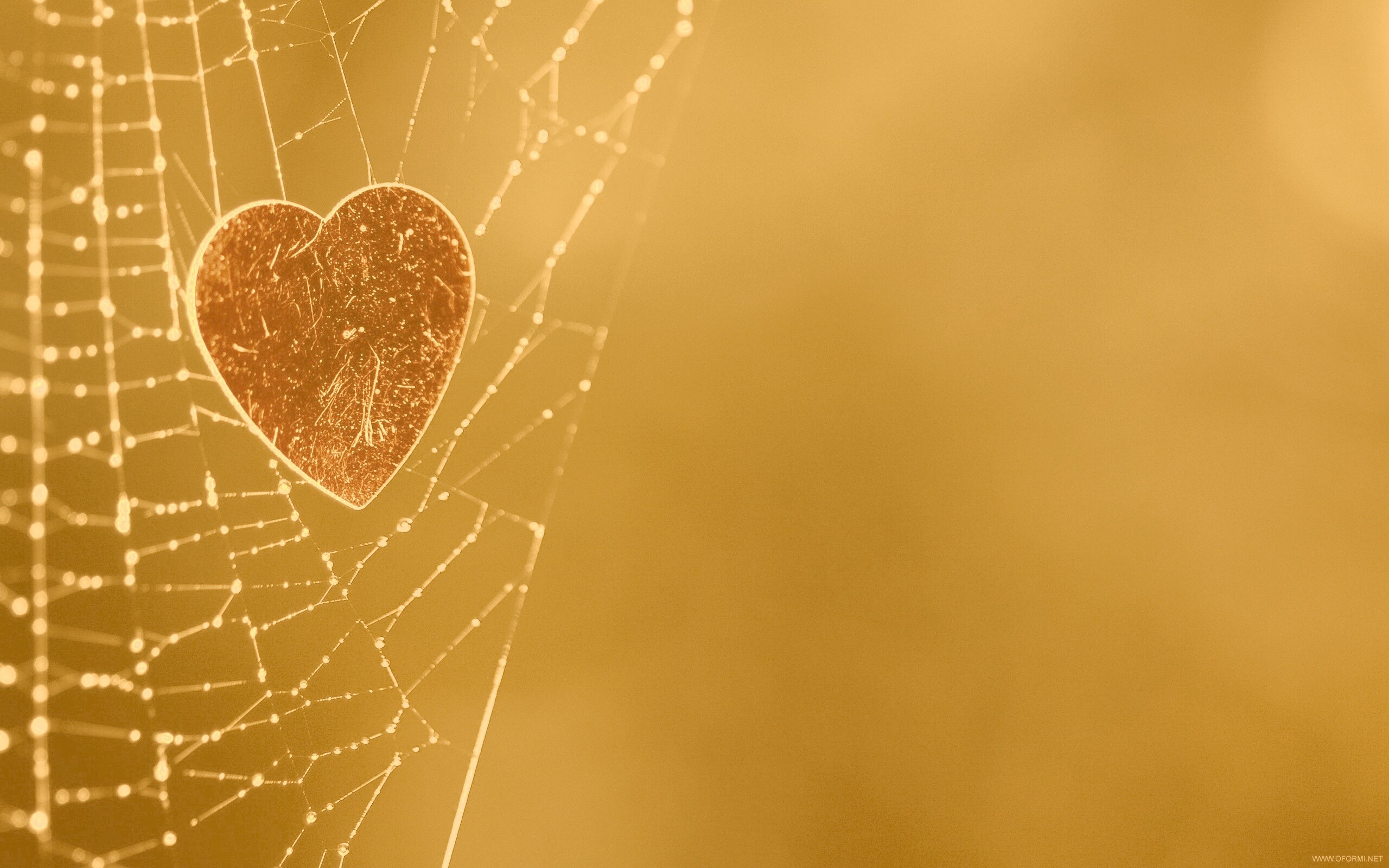 Запутавшаяся любовь.. обои