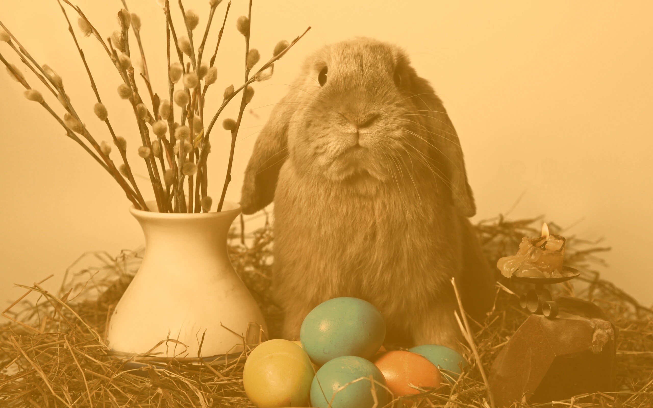 Пасхальный кролик обои