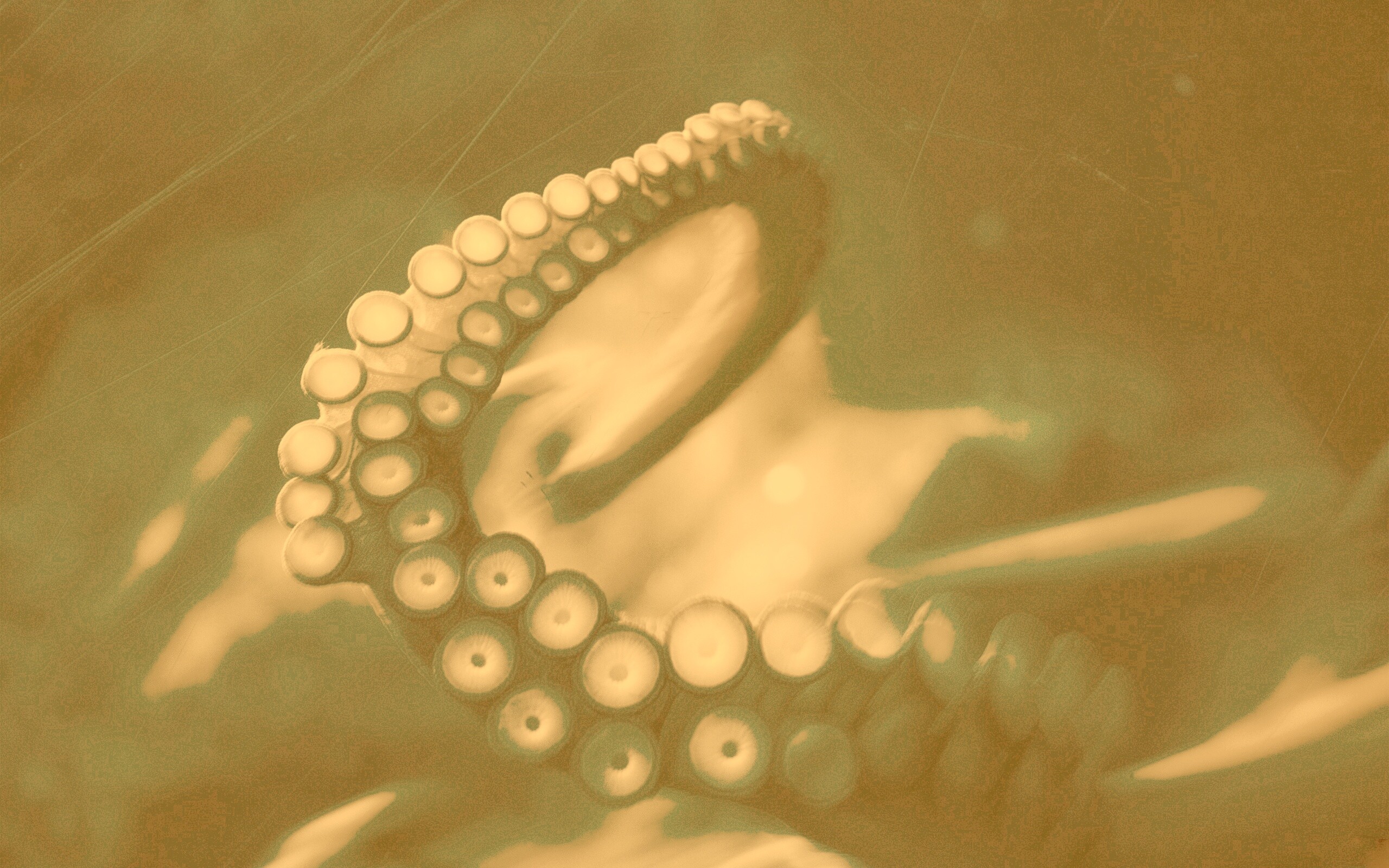 Щупальце обои