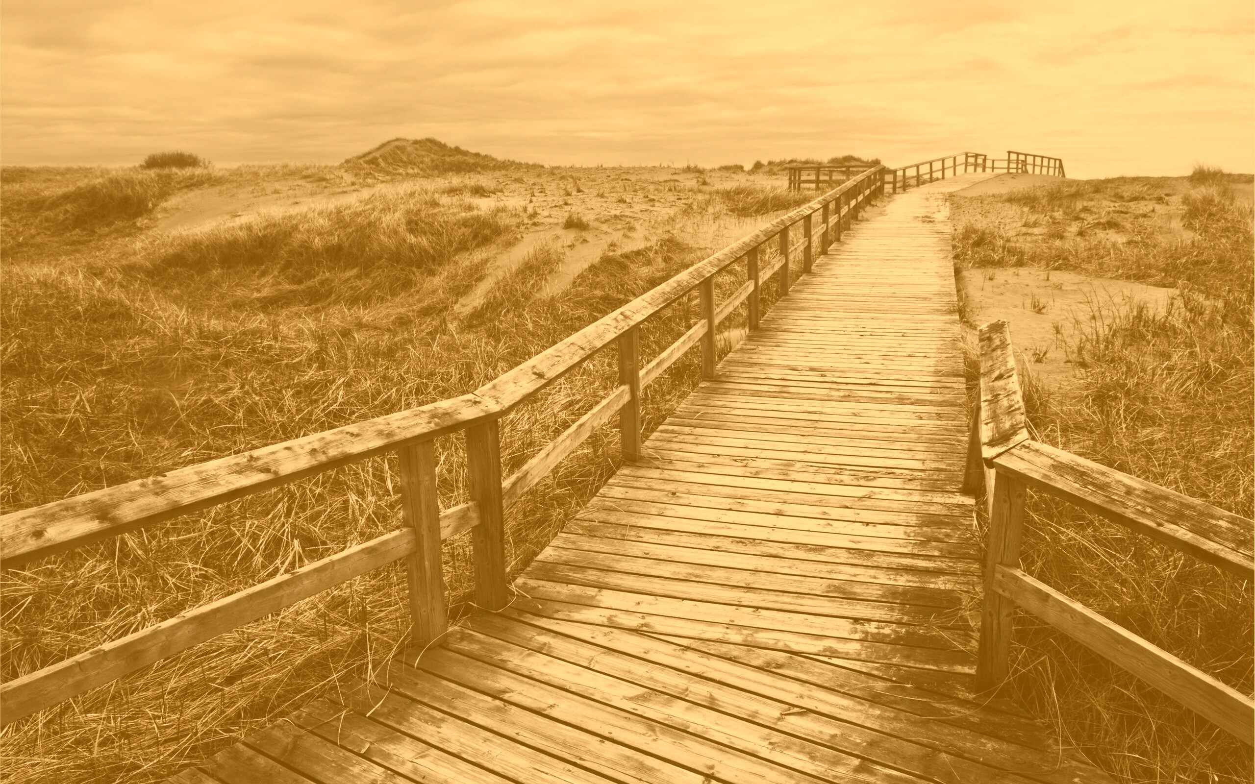 Деревянная дорога обои