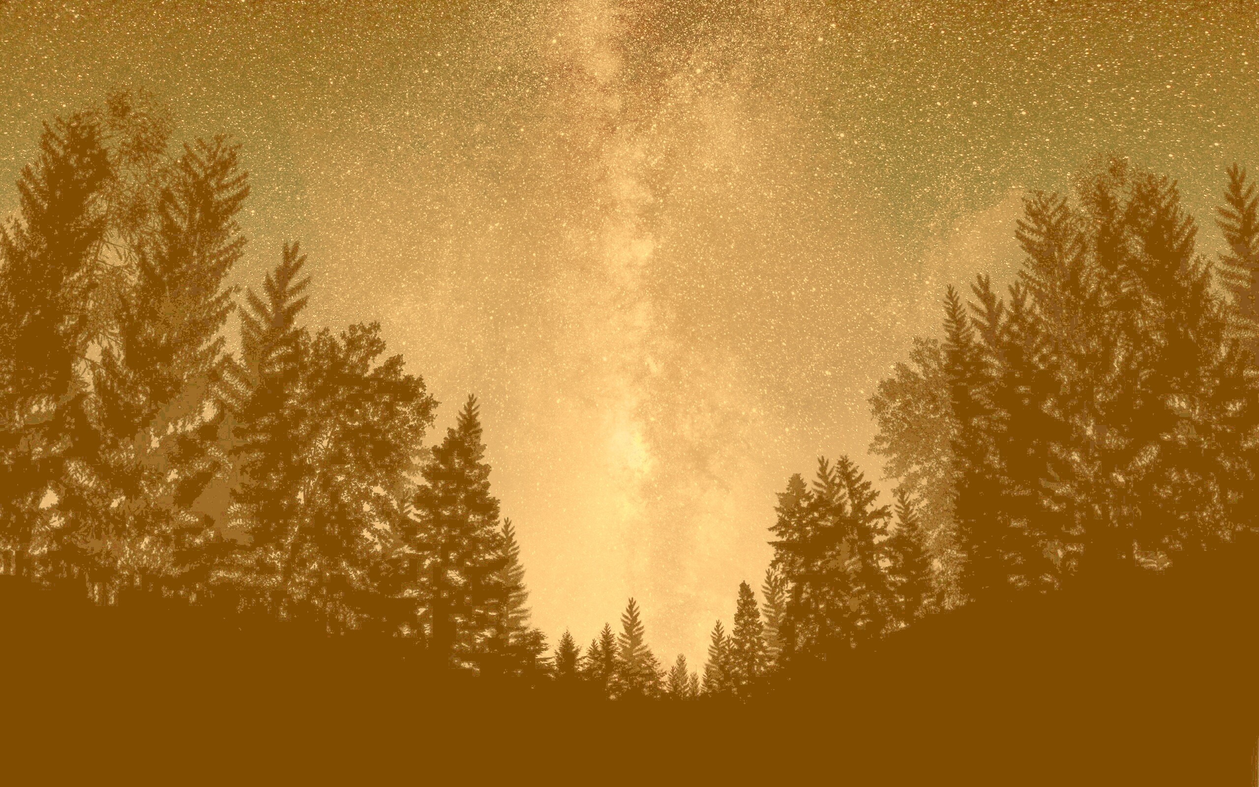 Лесной пейзаж обои