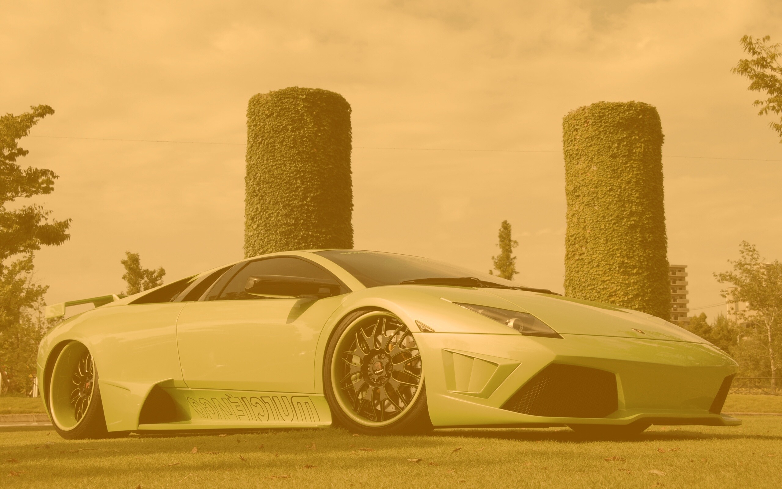 Зелёный Ламборджини на траве обои