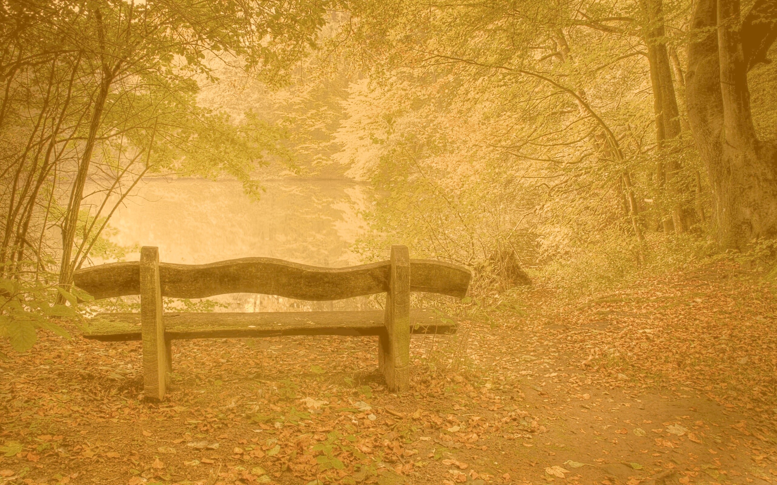 Скамейка в лесу обои