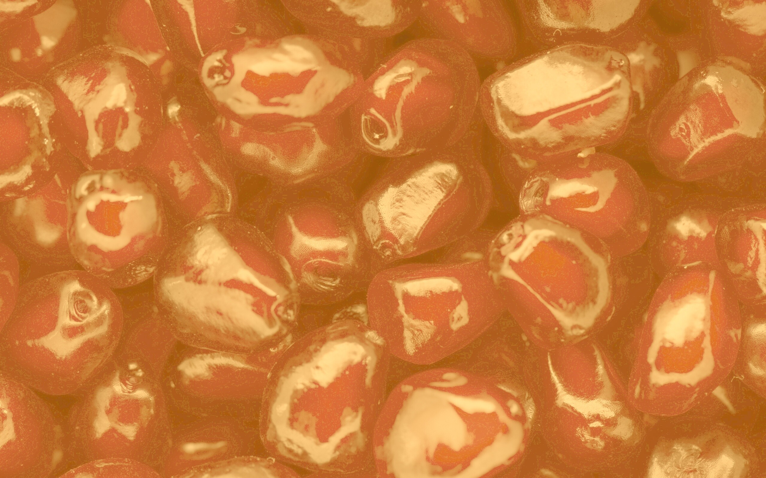 Ядра граната обои