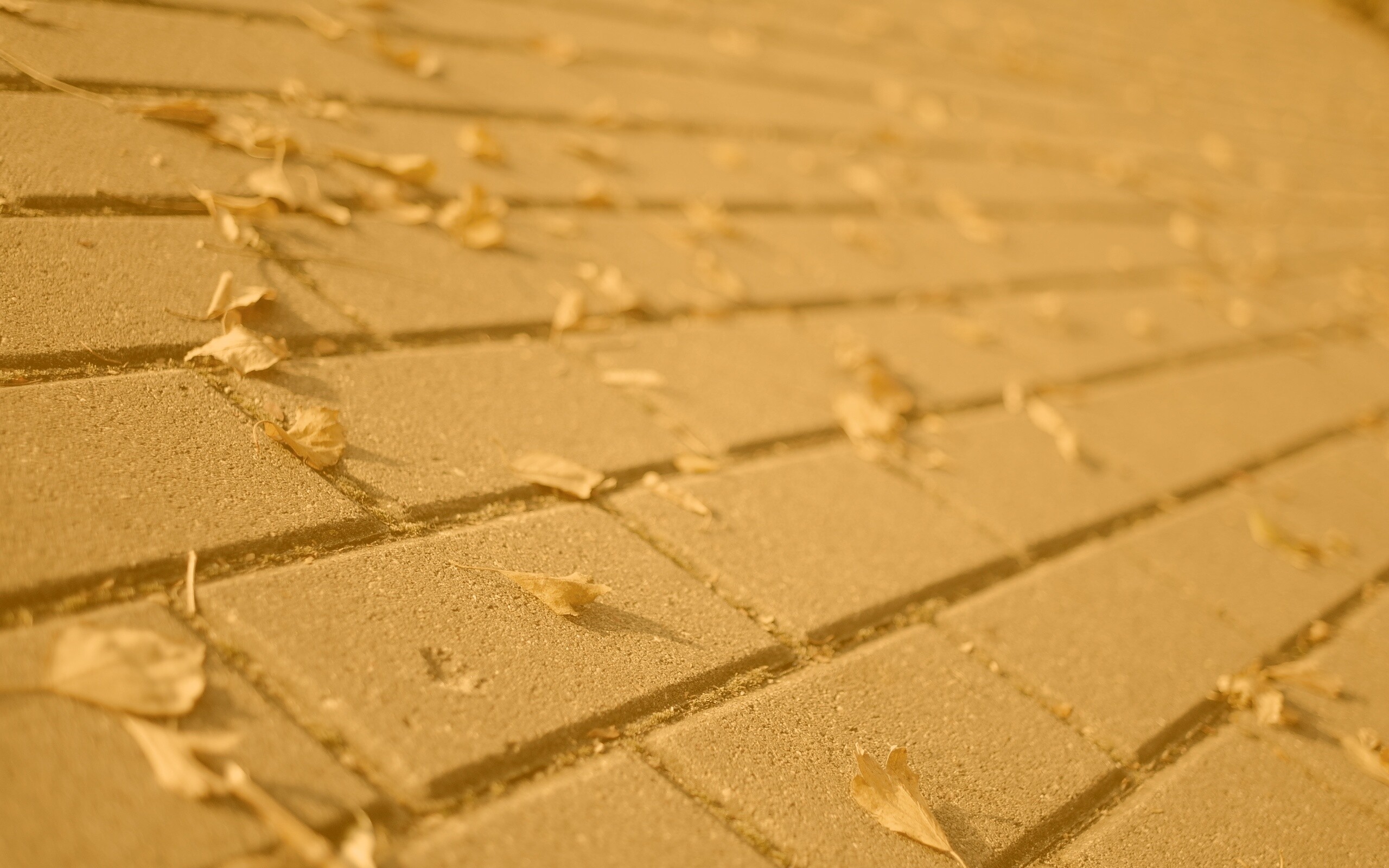 Тротуар обои