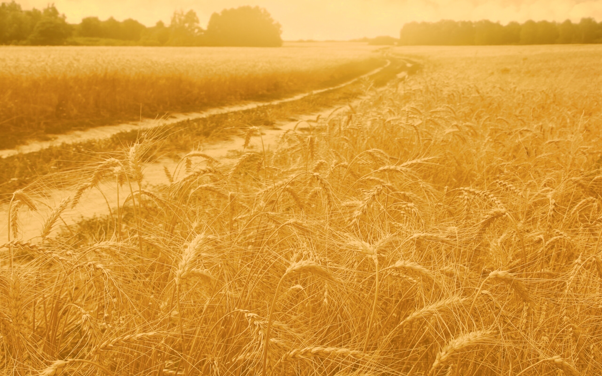 Речка среди поля обои