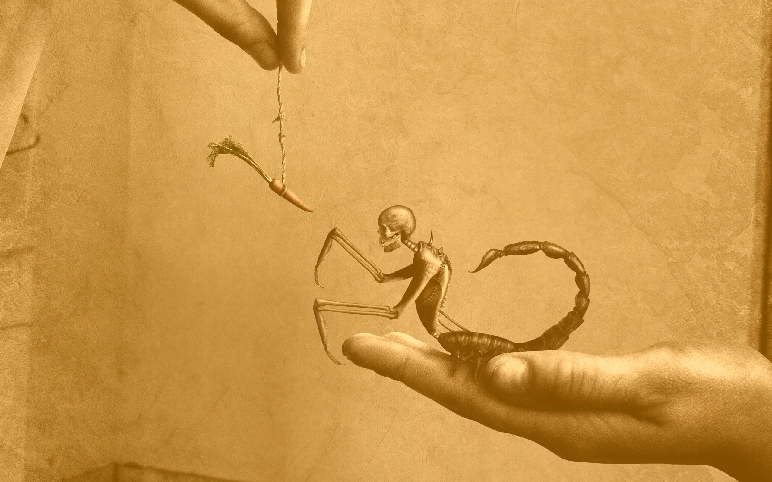 Кормёжка смерти обои