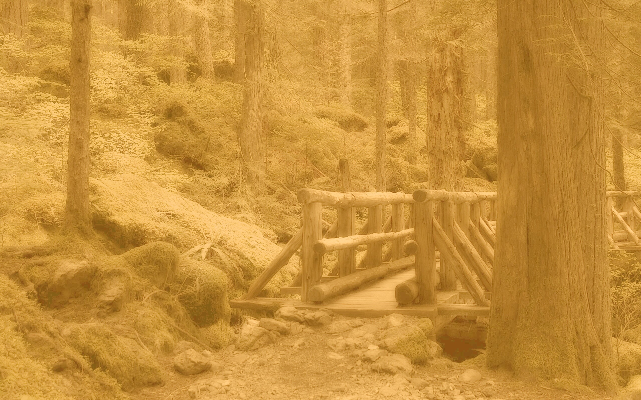 Бревенчатый мост в лесу обои