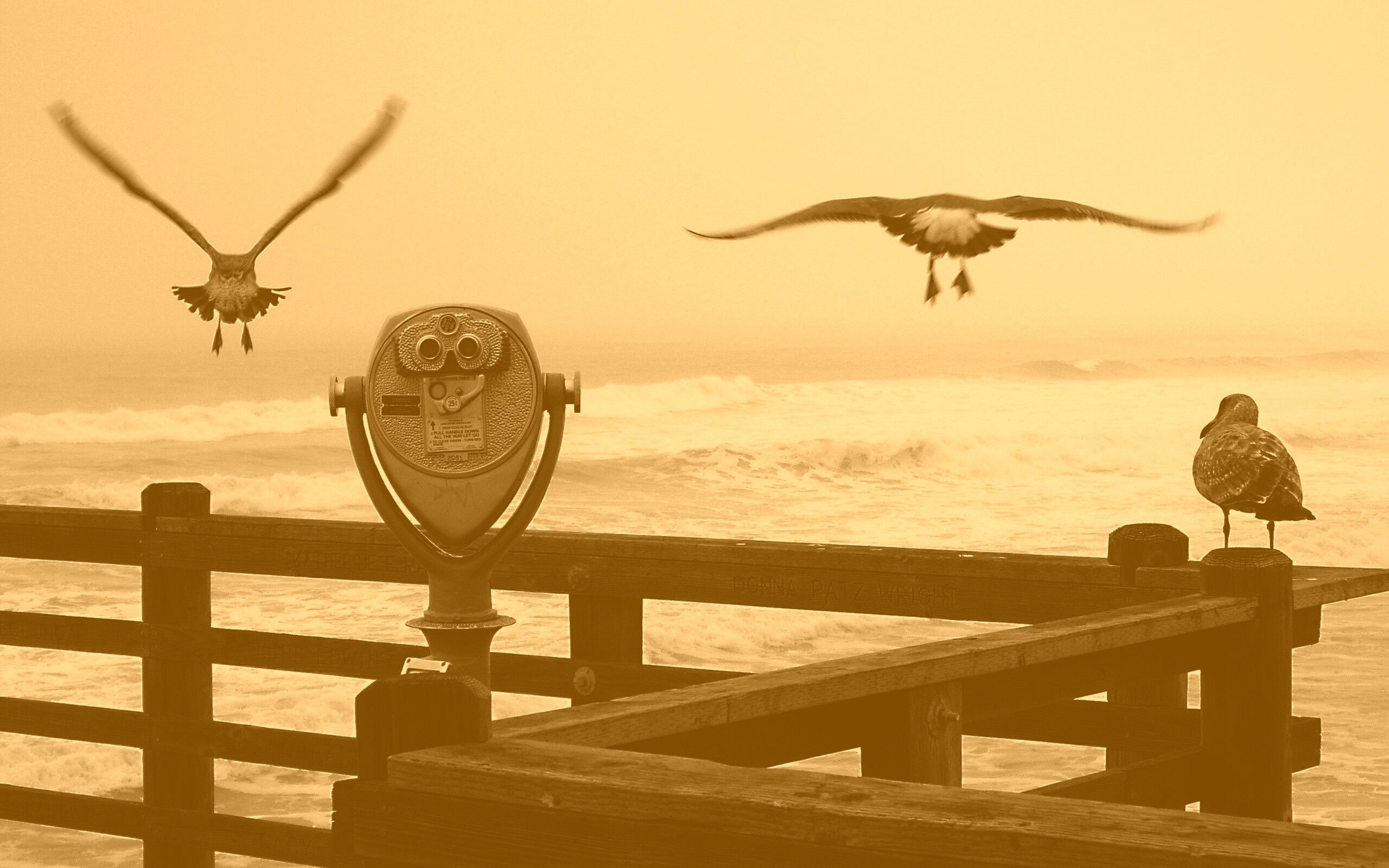 Чайки на перилах пирса обои