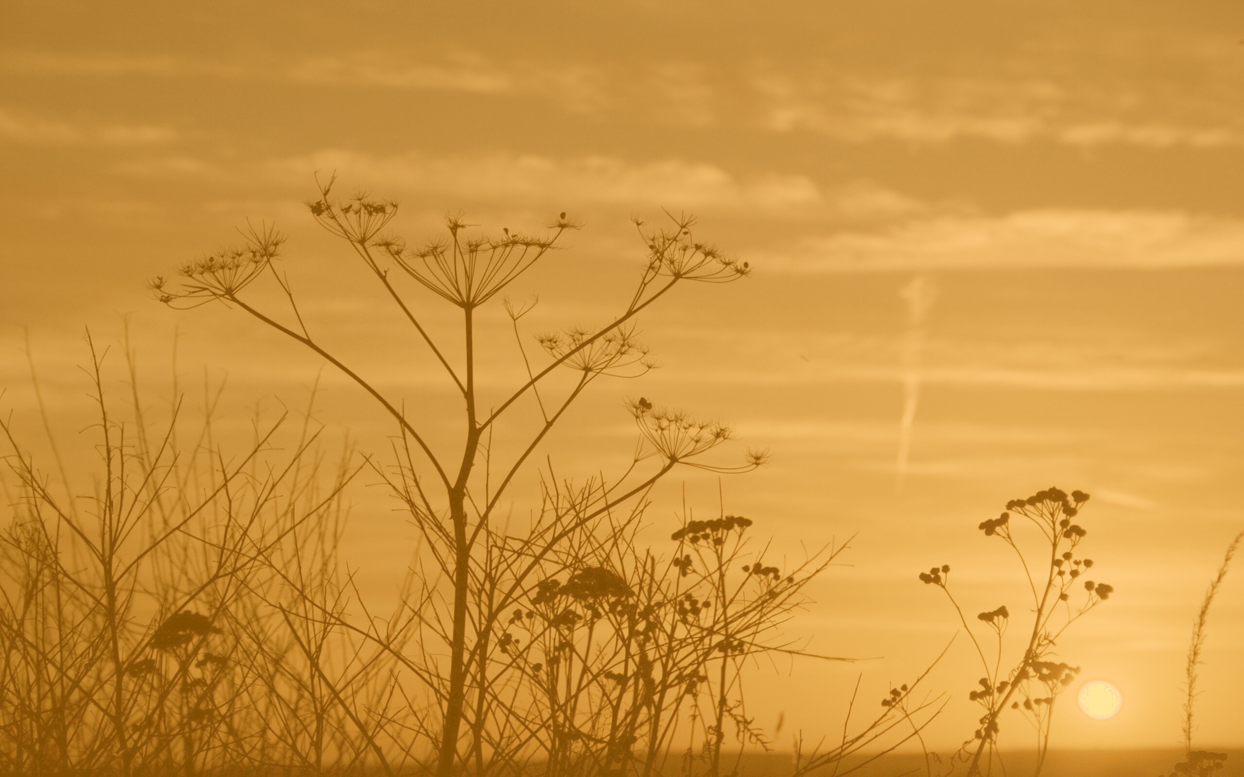 Степной закат обои