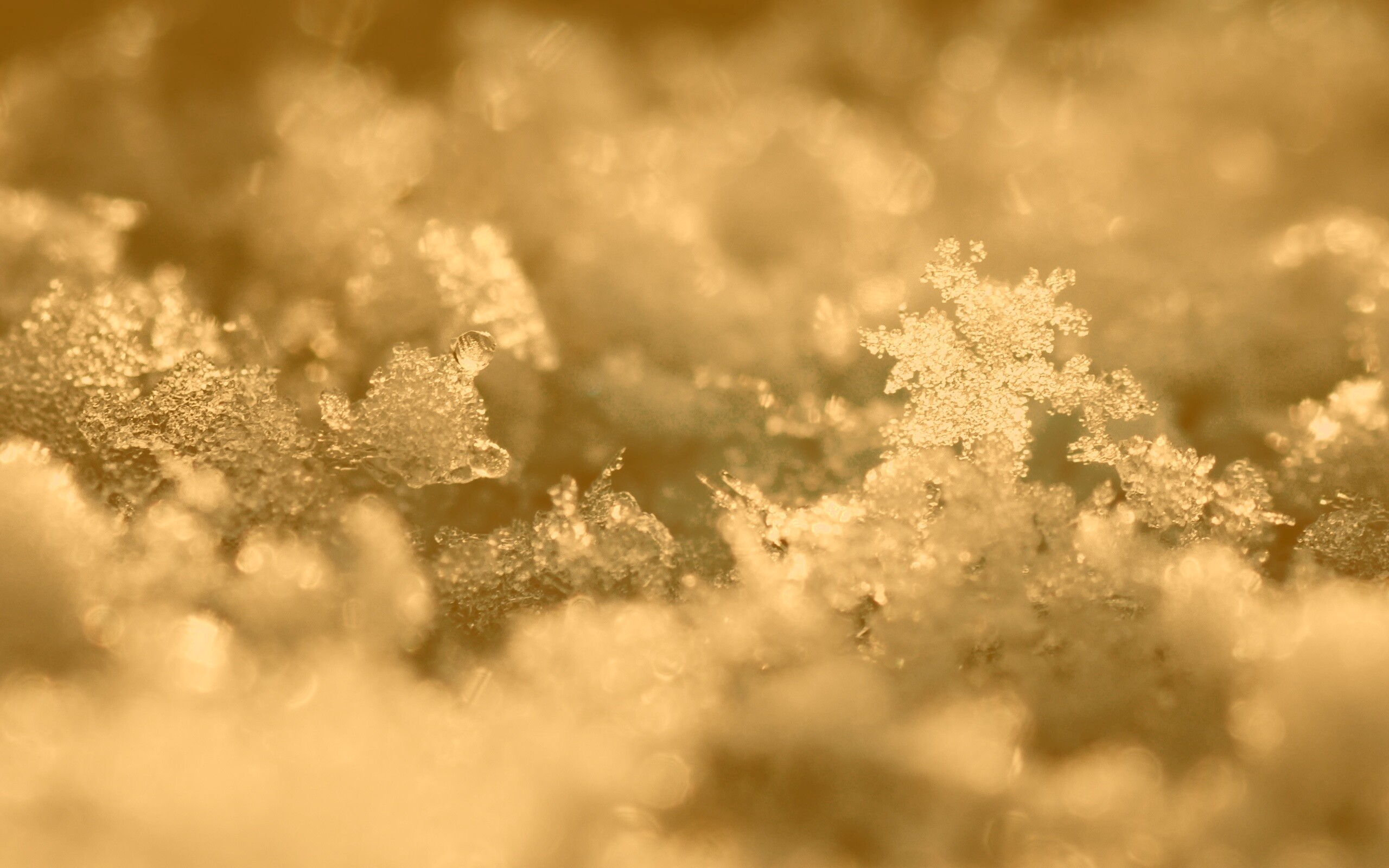 Макро фото снега обои